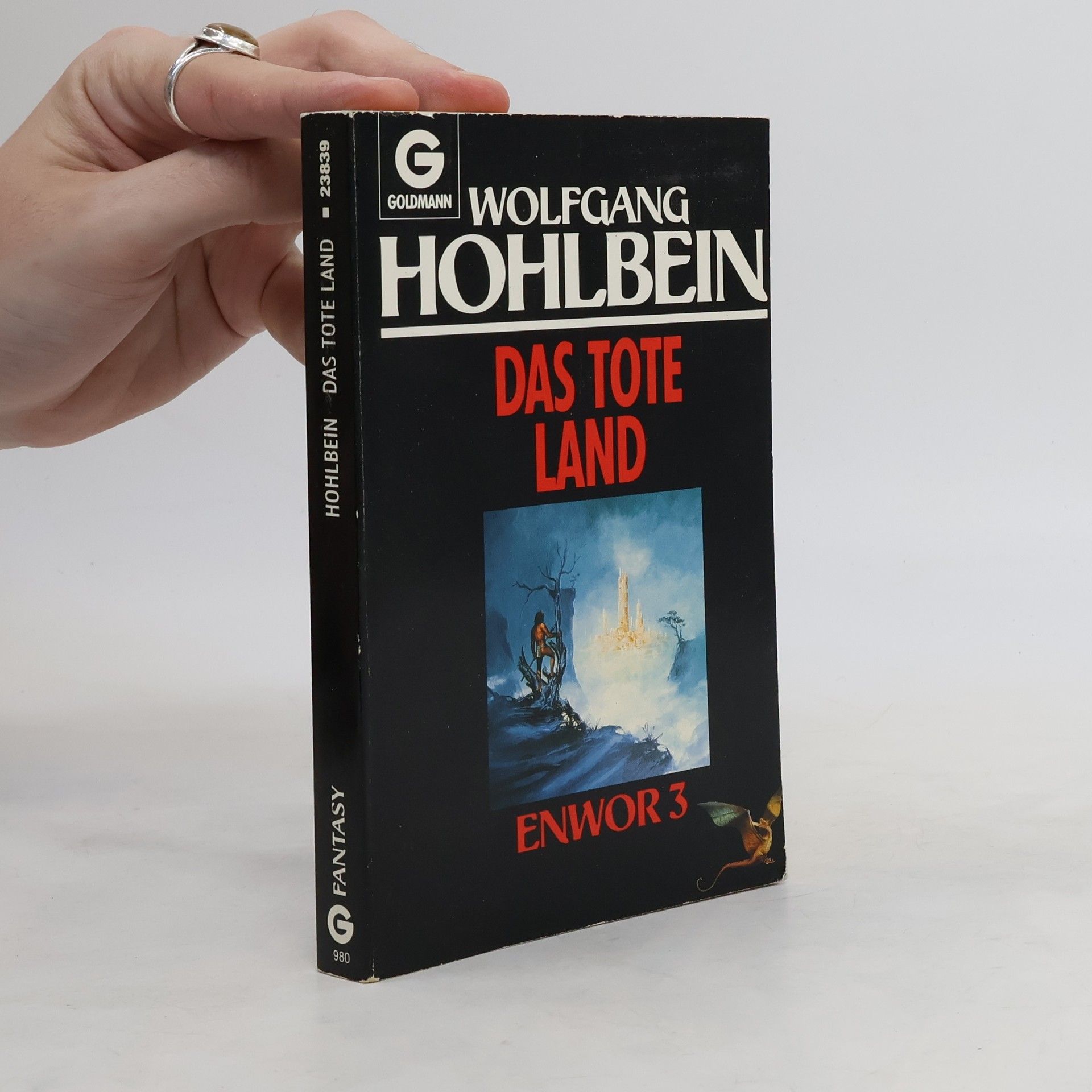 Wolfgang Hohlbein Das tote Land
