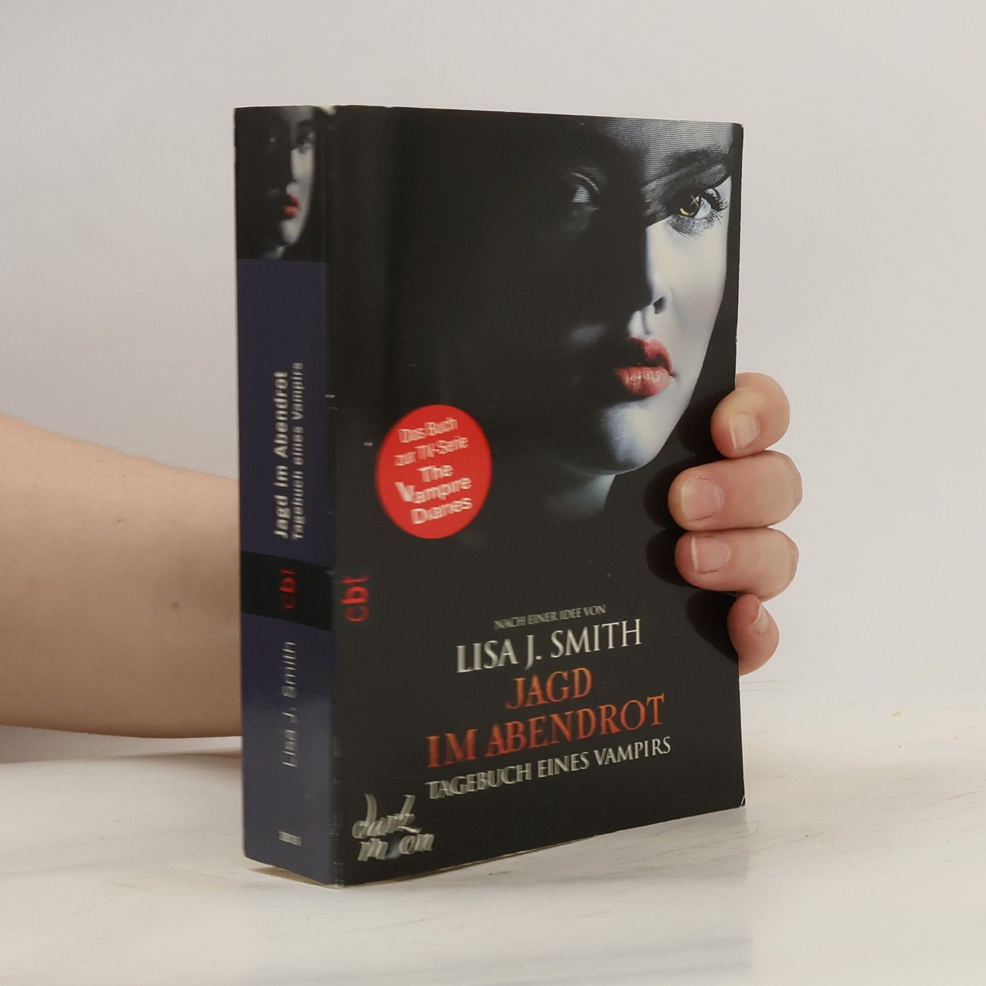 Lisa Jane Smith Jagd im Abendrot