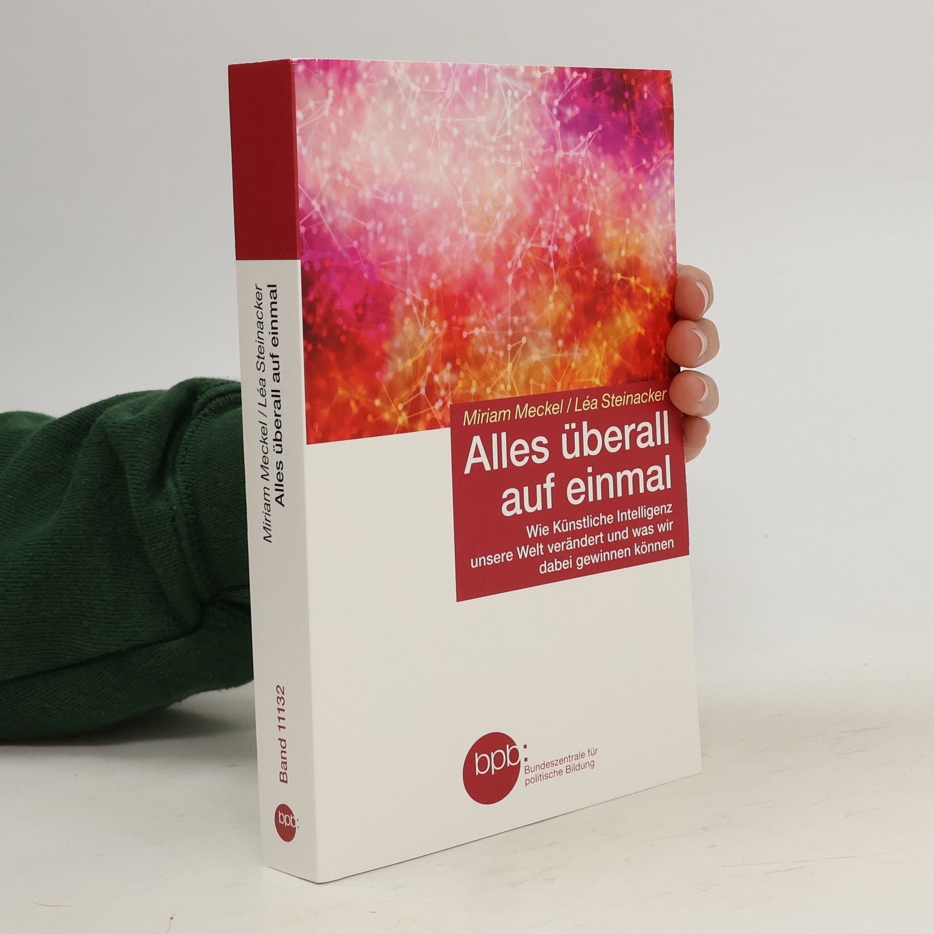 Miriam Meckel Alles überall auf einmal