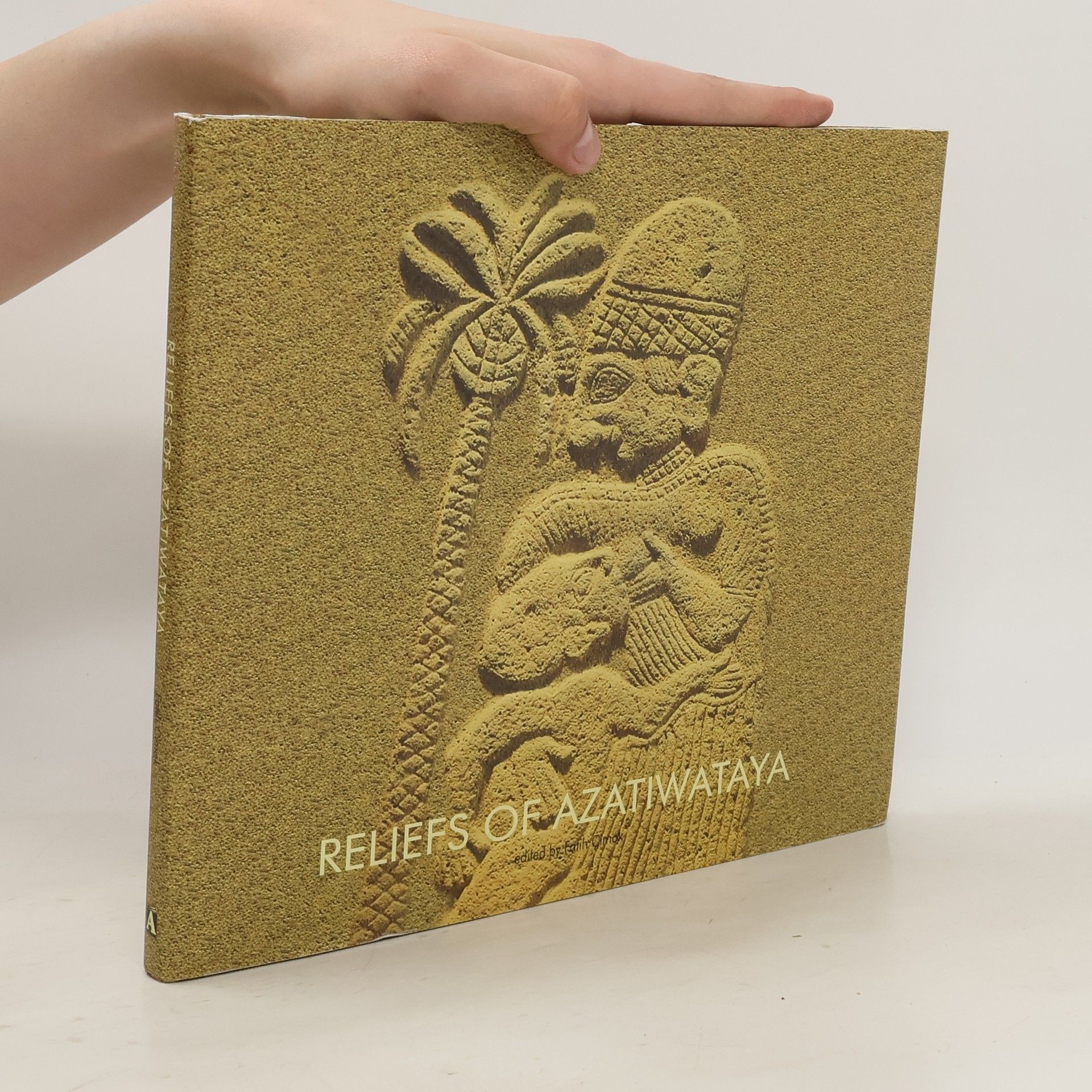 Collectif d'auteurs Reliefs of Azatiwataya