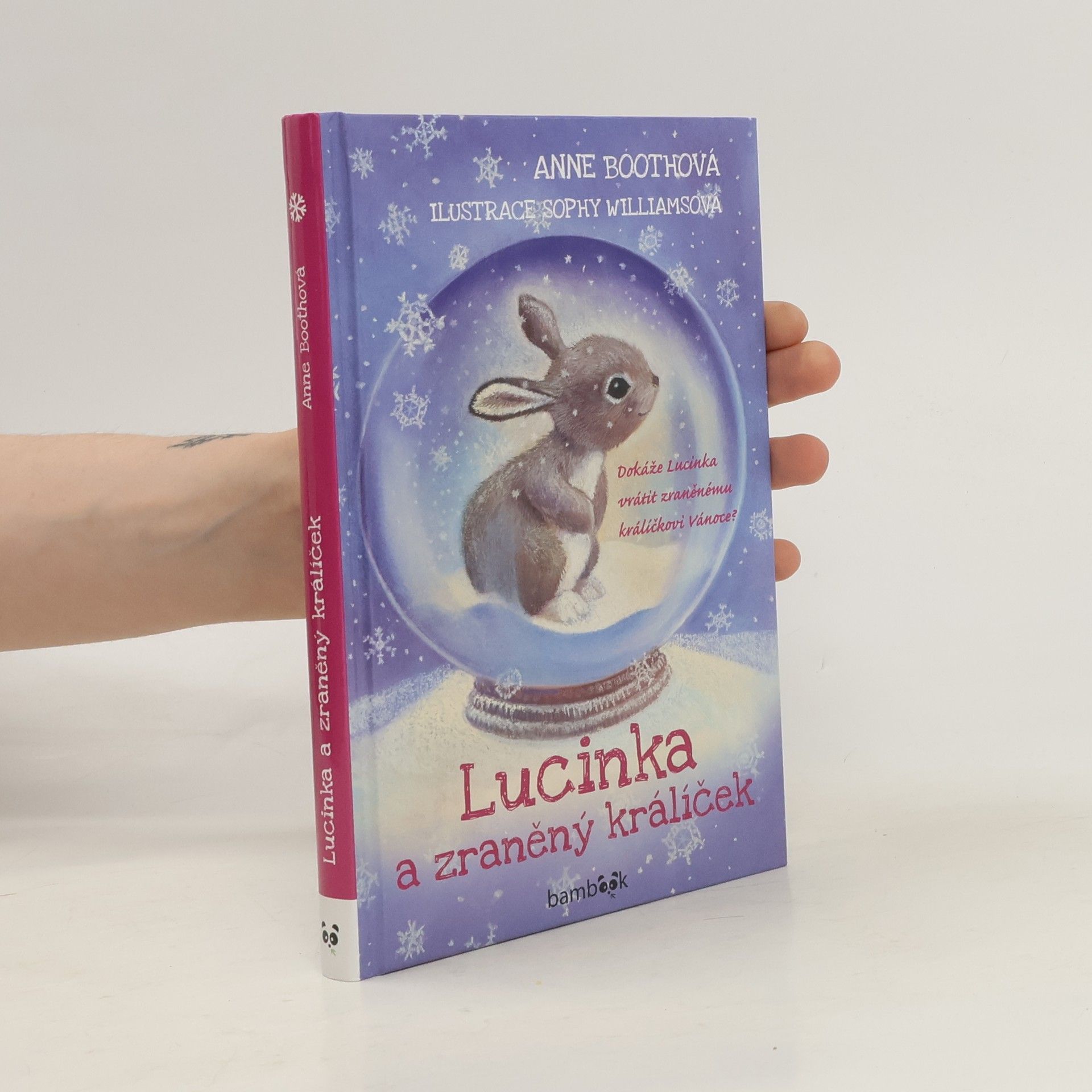 Anne Booth Lucinka a zraněný králíček