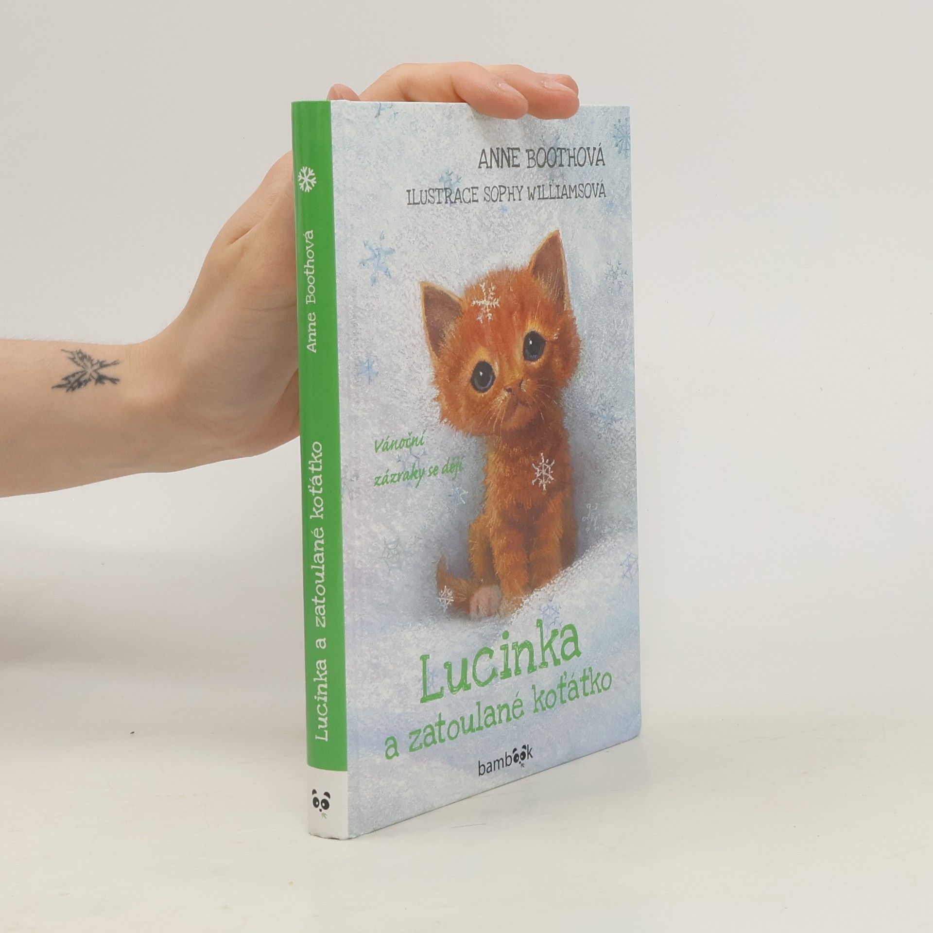Anne Booth Lucinka a zatoulané koťátko