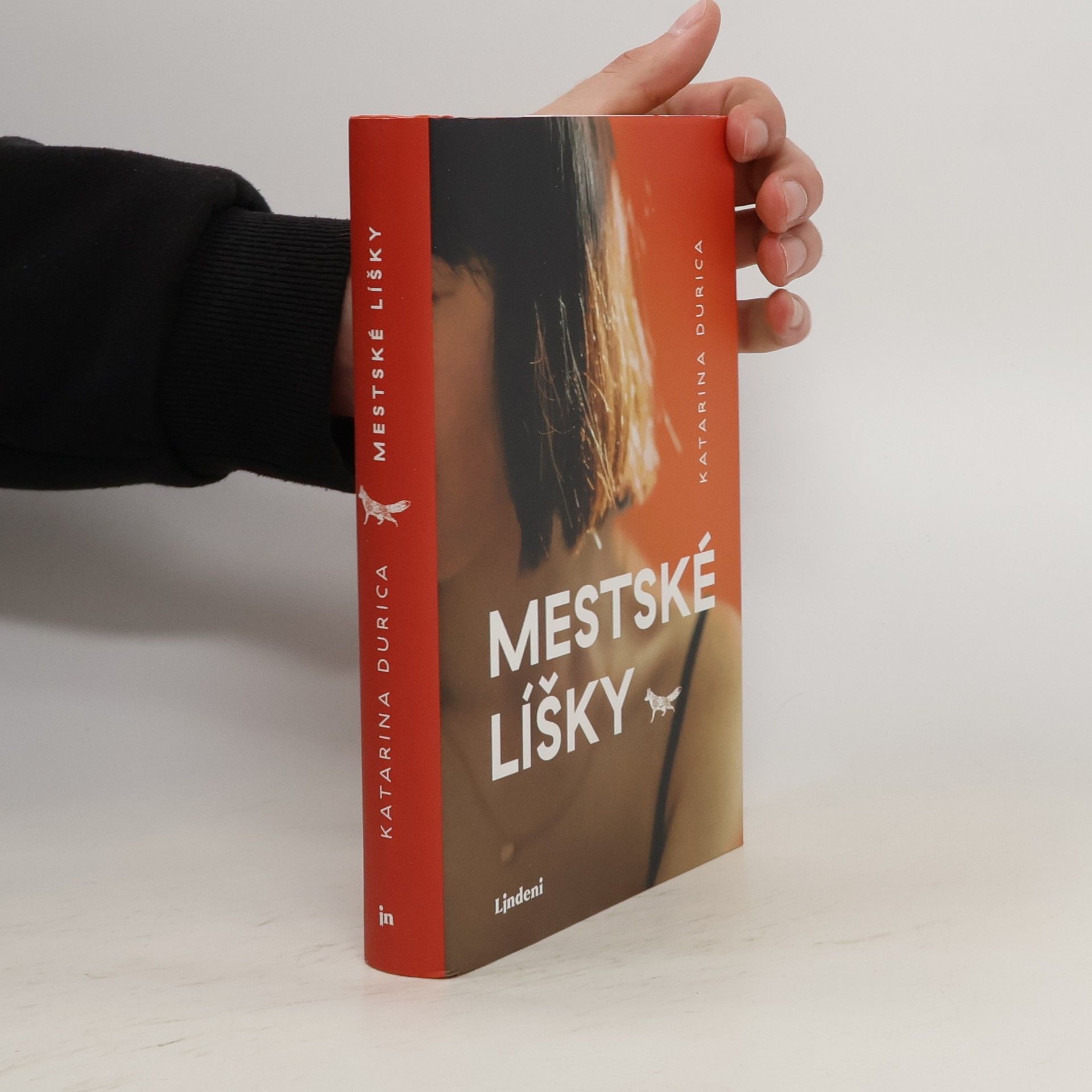 Katarína Durica Mestské líšky