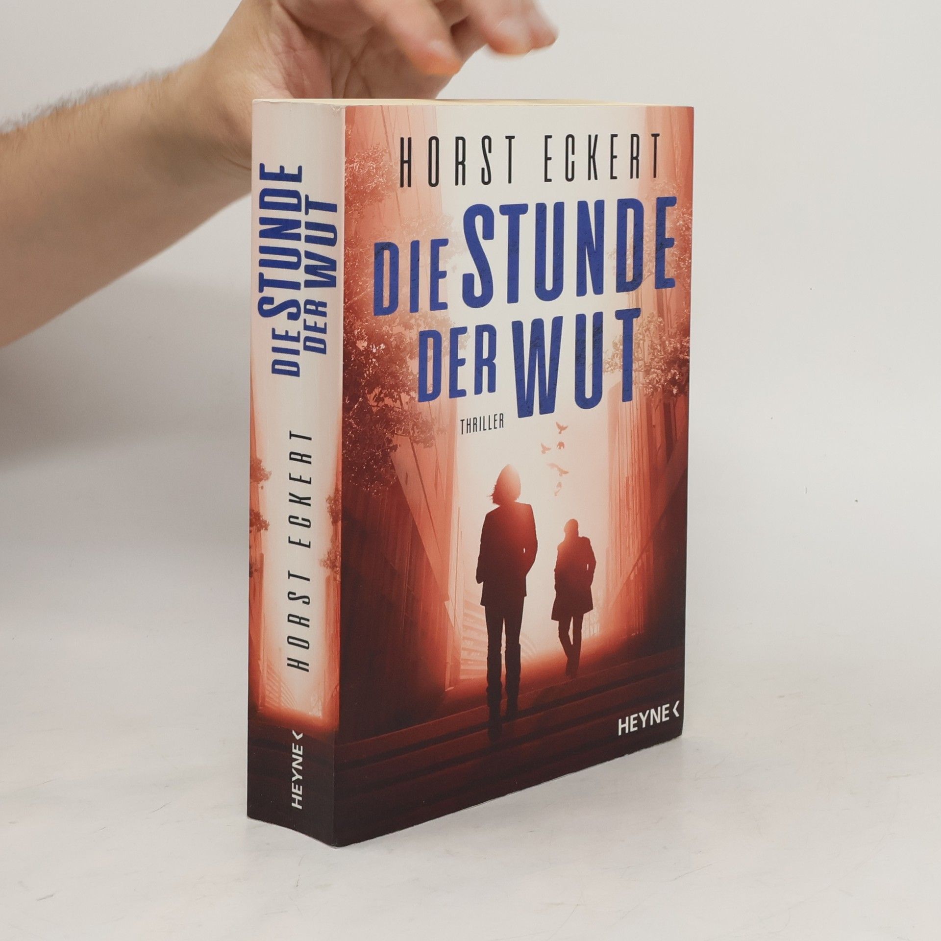Horst Eckert Die Stunde der Wut
