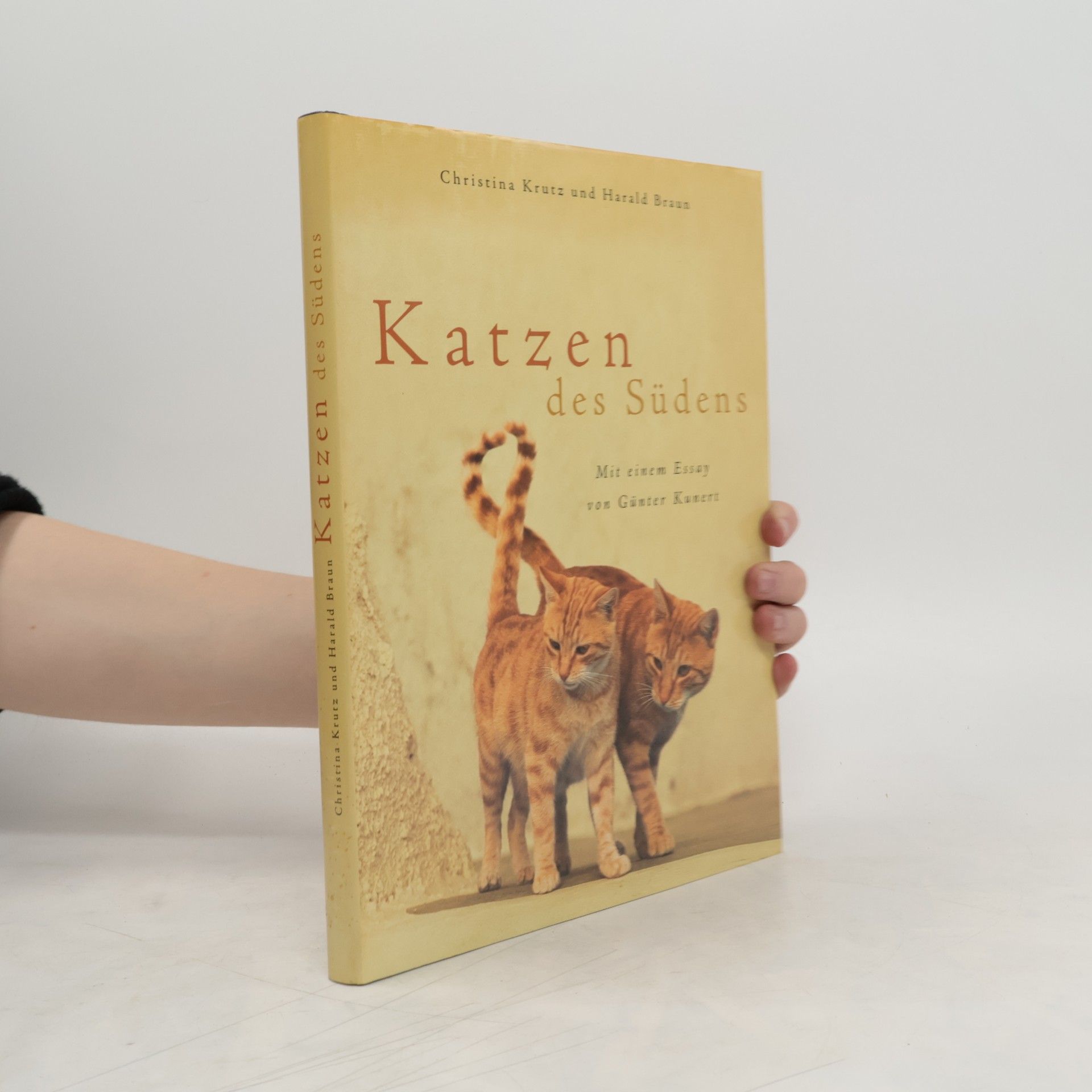 Christina Krutz Katzen des Südens