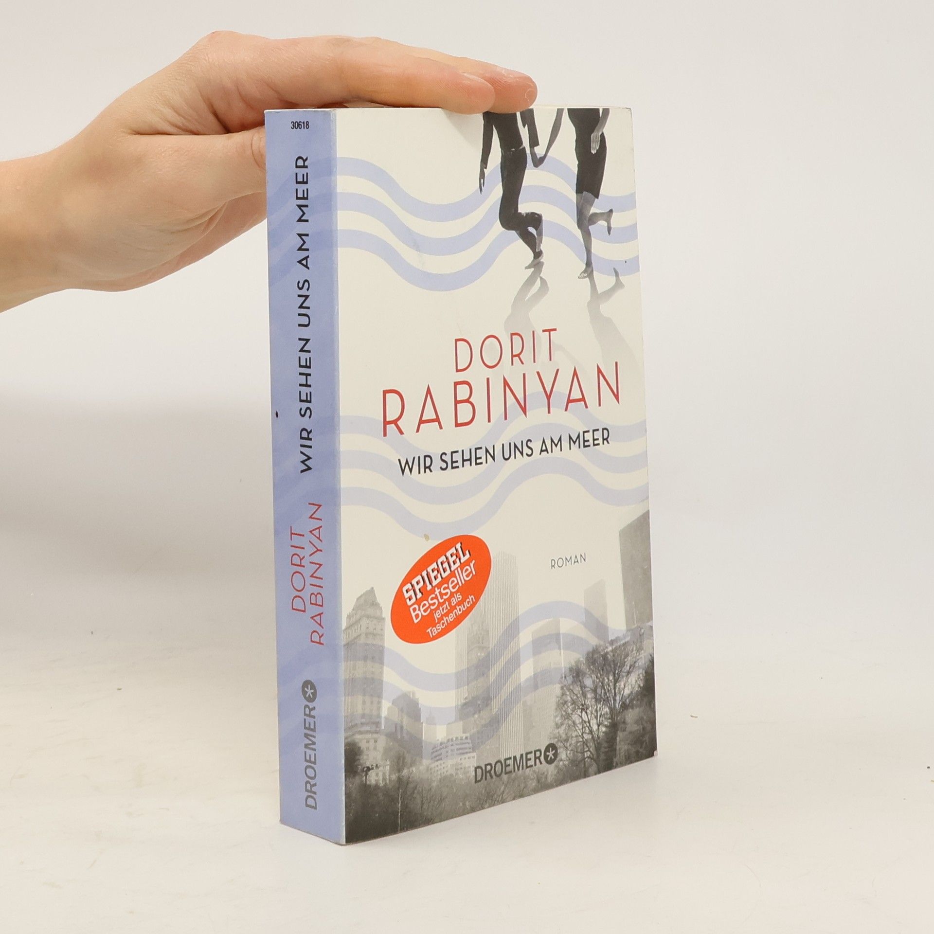 Dorit Rabinyan Wir sehen uns am meer
