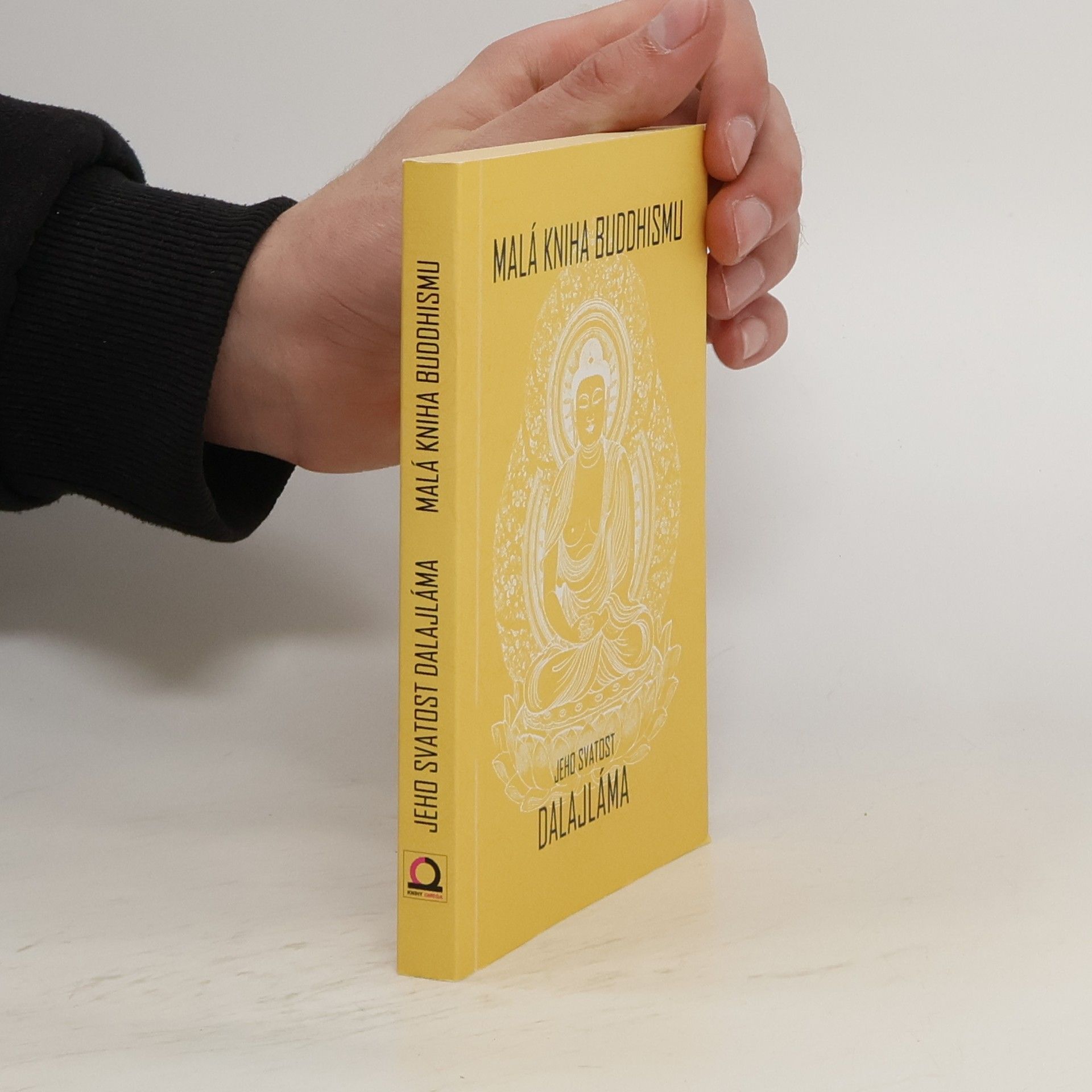 Bstan\'dzinrgyamtsho Malá kniha buddhismu