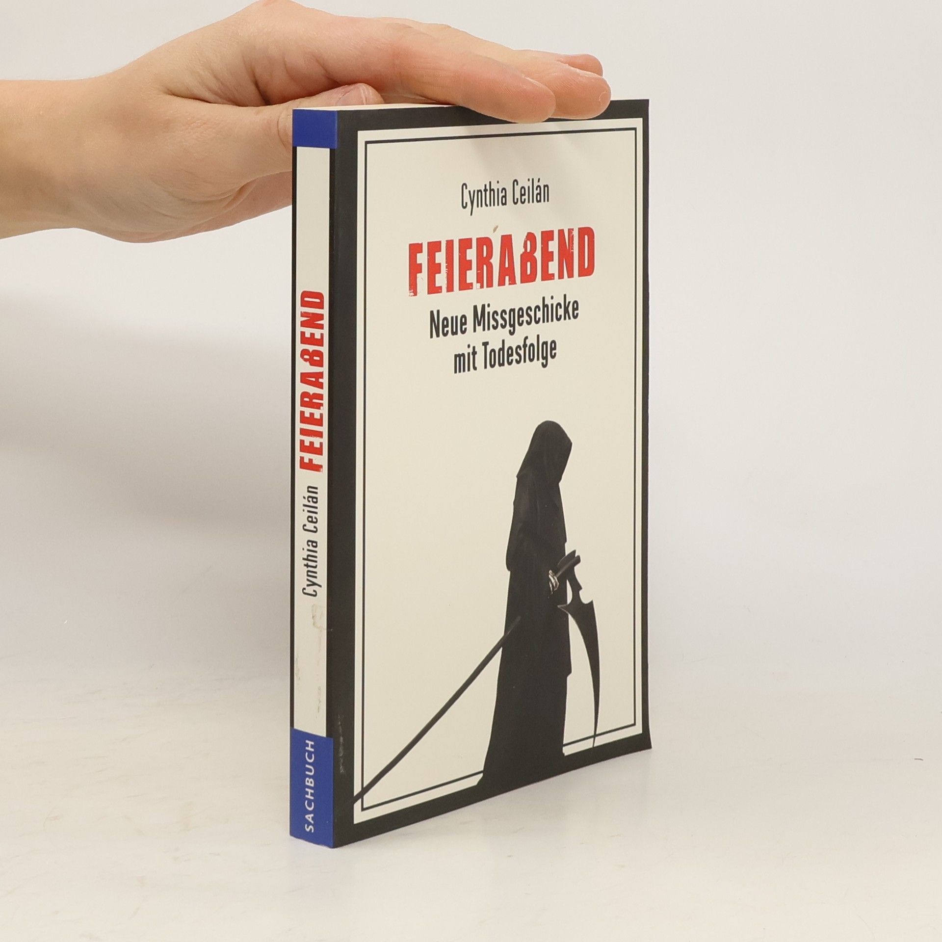 Cynthia Celián Feierabend Neue Missgeschicke mit Todesfolge