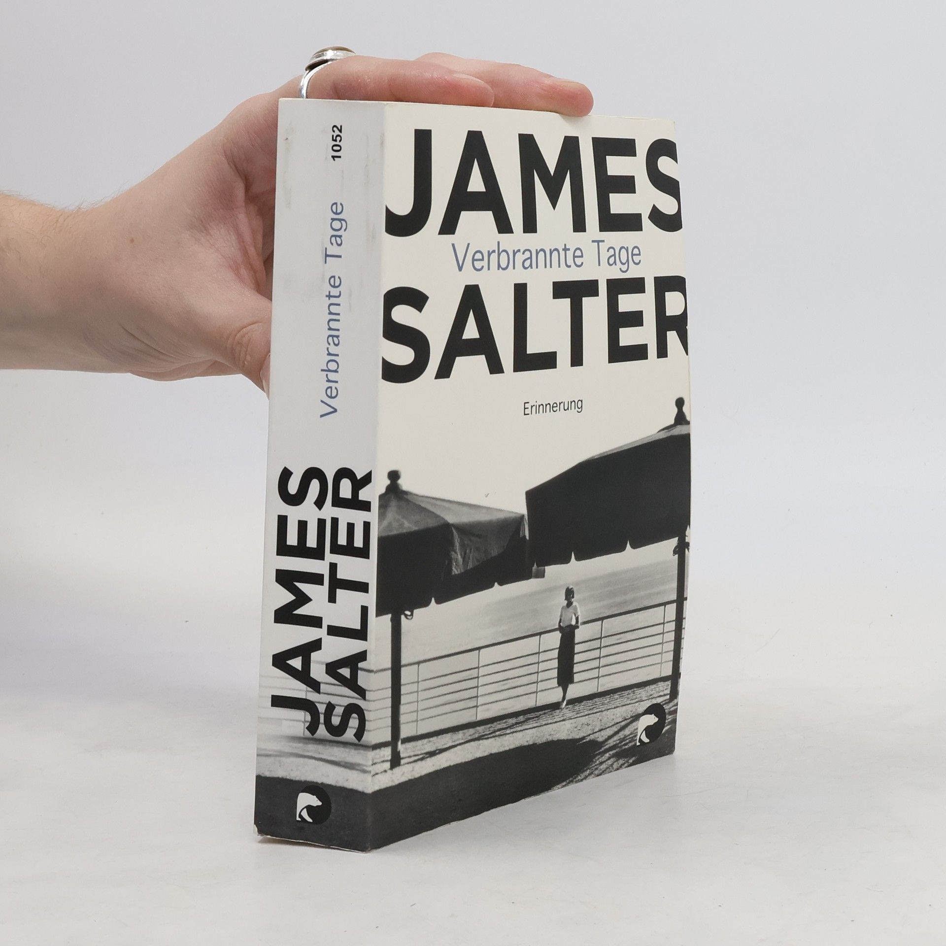 James Salter Verbrannte Tage