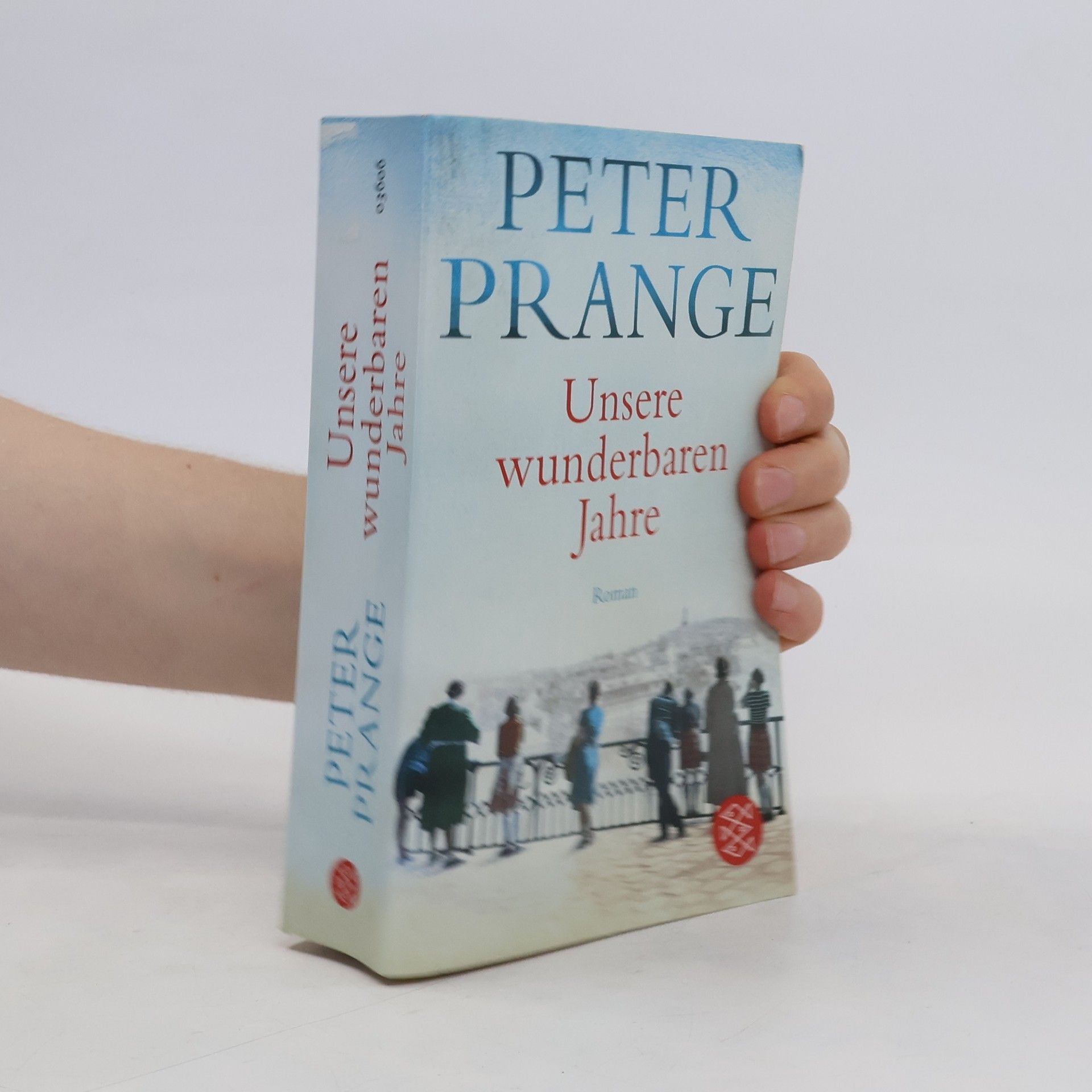 Peter Prange Unsere wunderbaren Jahre