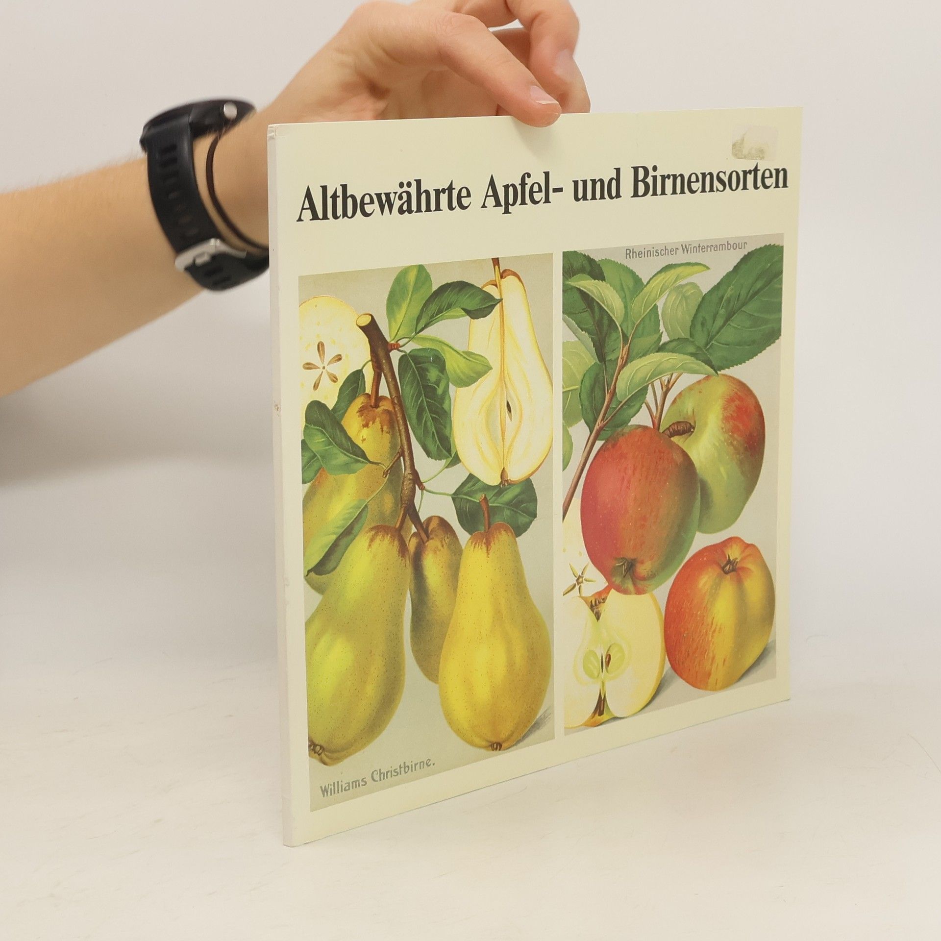Willi Votteler Altbewährte Apfel- und Birnensorten