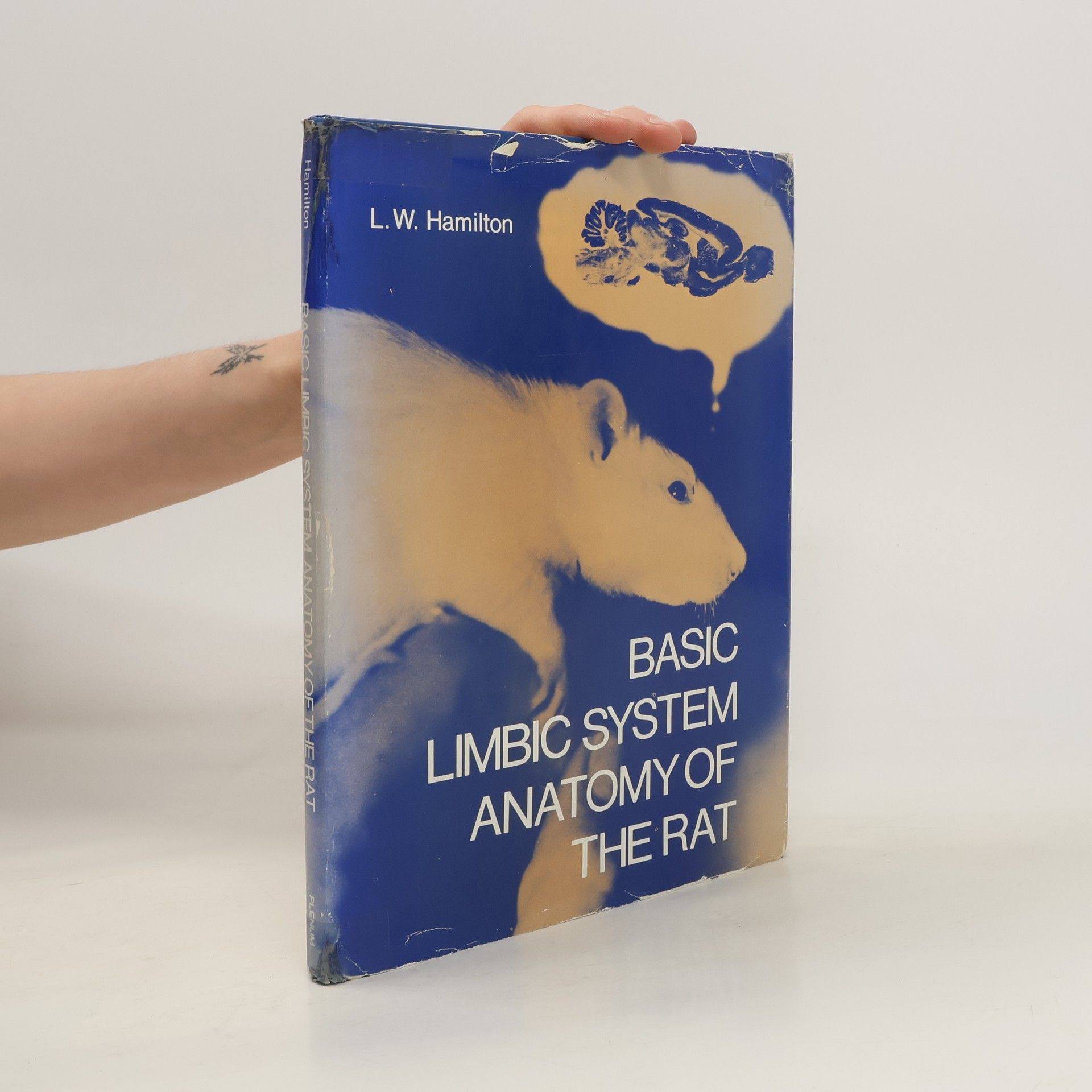 Leonard W. Hamilton Basic limbic system anatomy of the rat