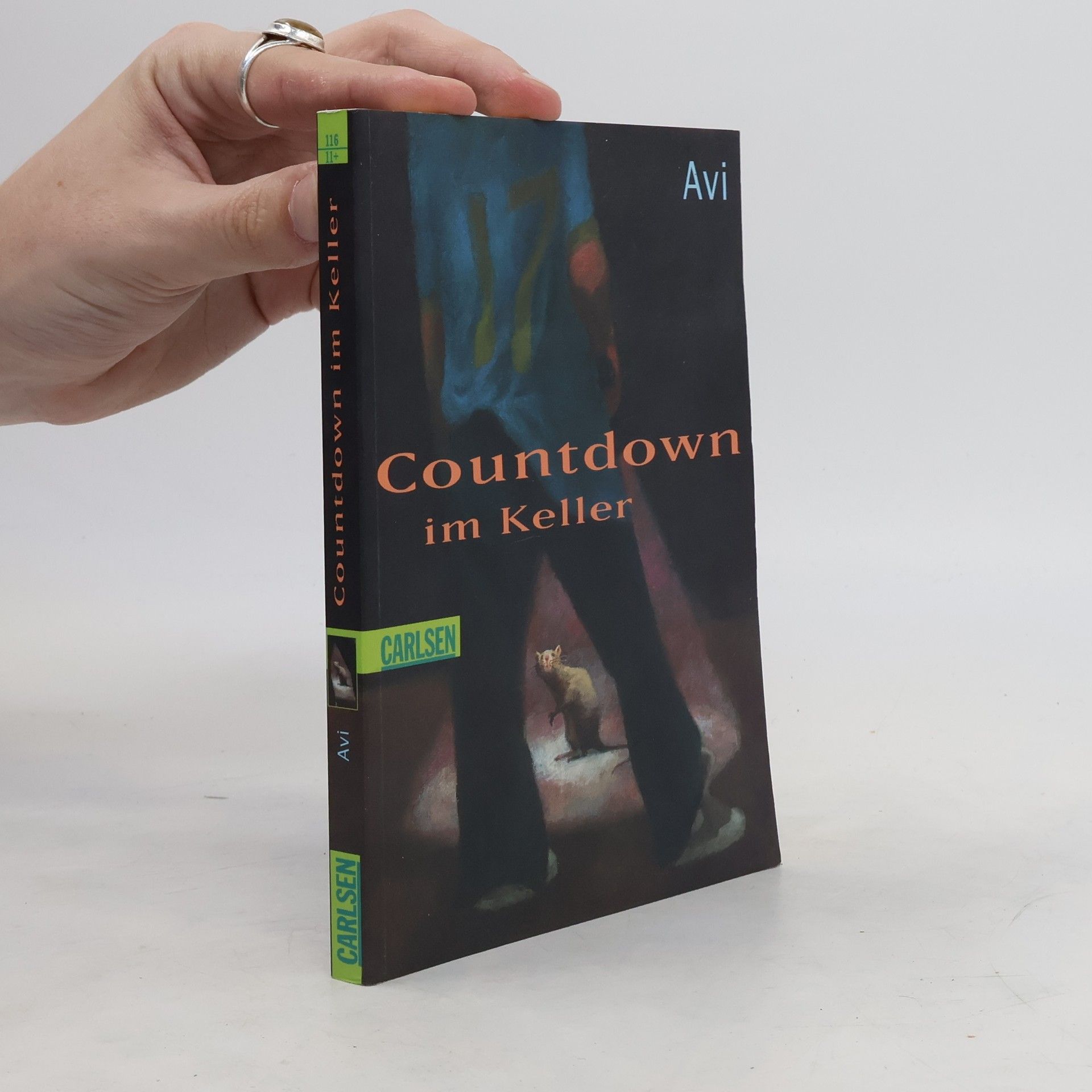 Avi Countdown im Keller