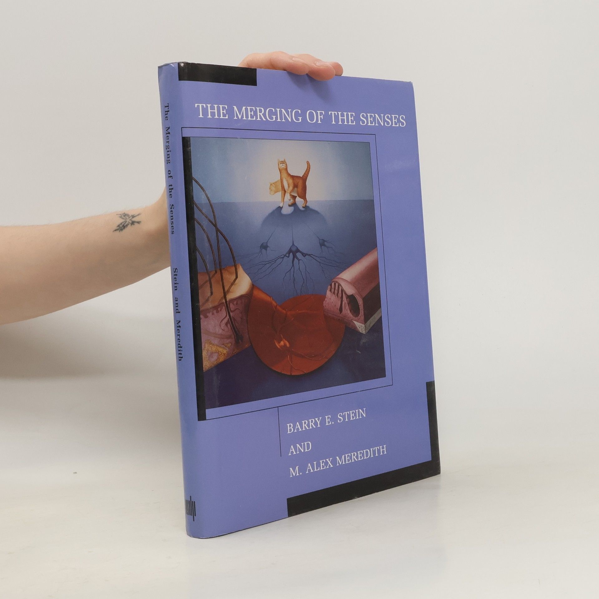 Barry E. Stein The Merging of the Senses