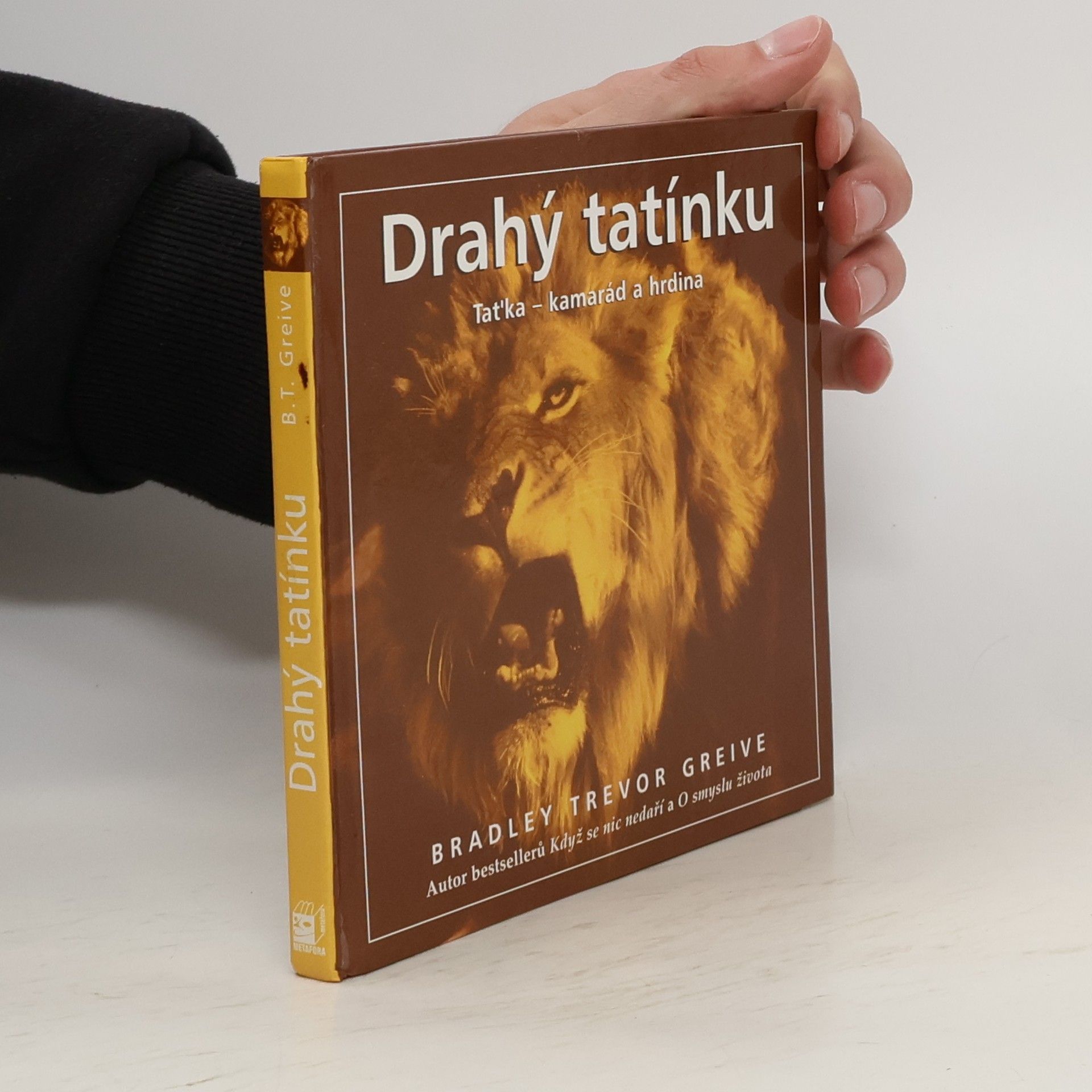 Bradley Trevor Greive Drahý tatínku: Taťka - kamarád a hrdina