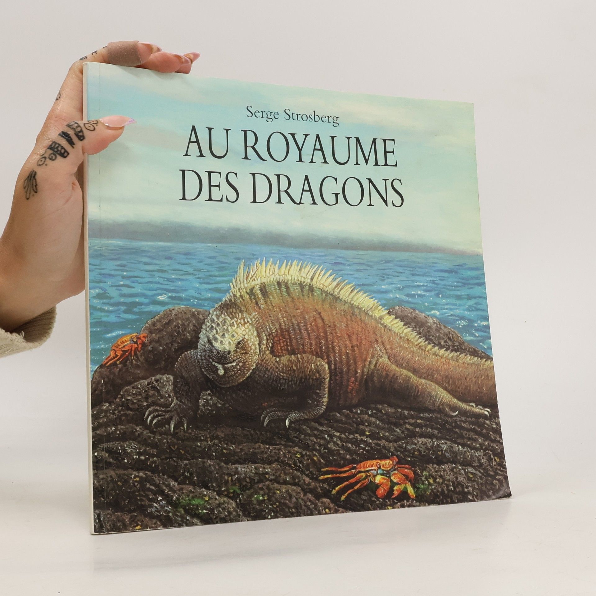 Serge Strosberg Au royaume des dragons