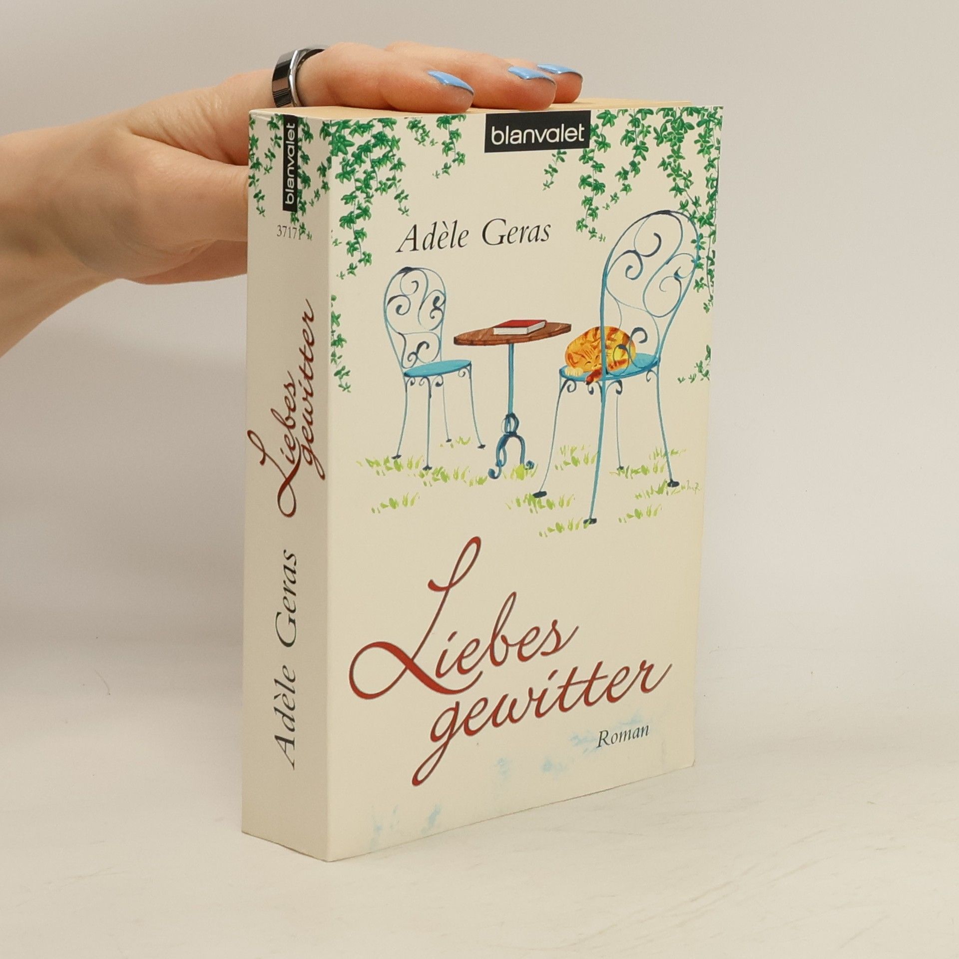 Adèle Geras Liebesgewitter. Roman