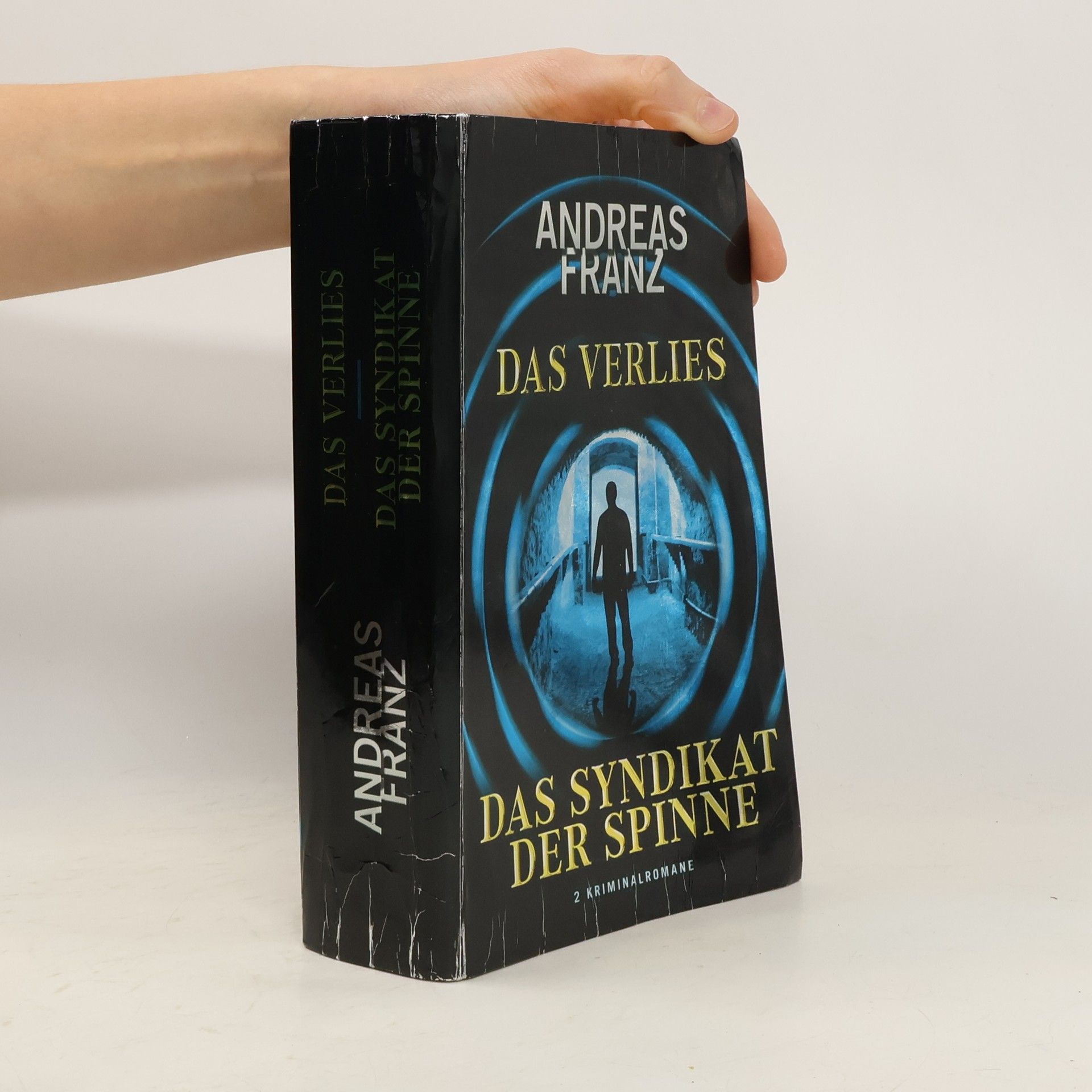 Andreas Franz Das Verlies. Das Syndikat der Spinne
