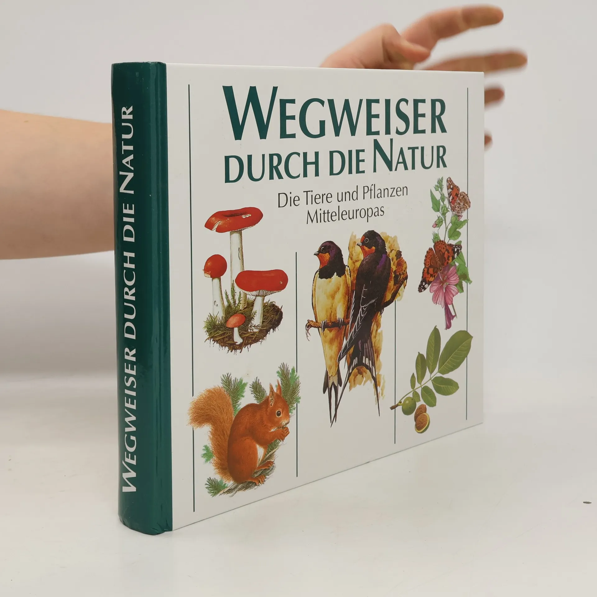 Wegweiser durch die Natur. Die Tiere und Pflanzen Mitteleuropas | Buch | Hardcover | kolektiv