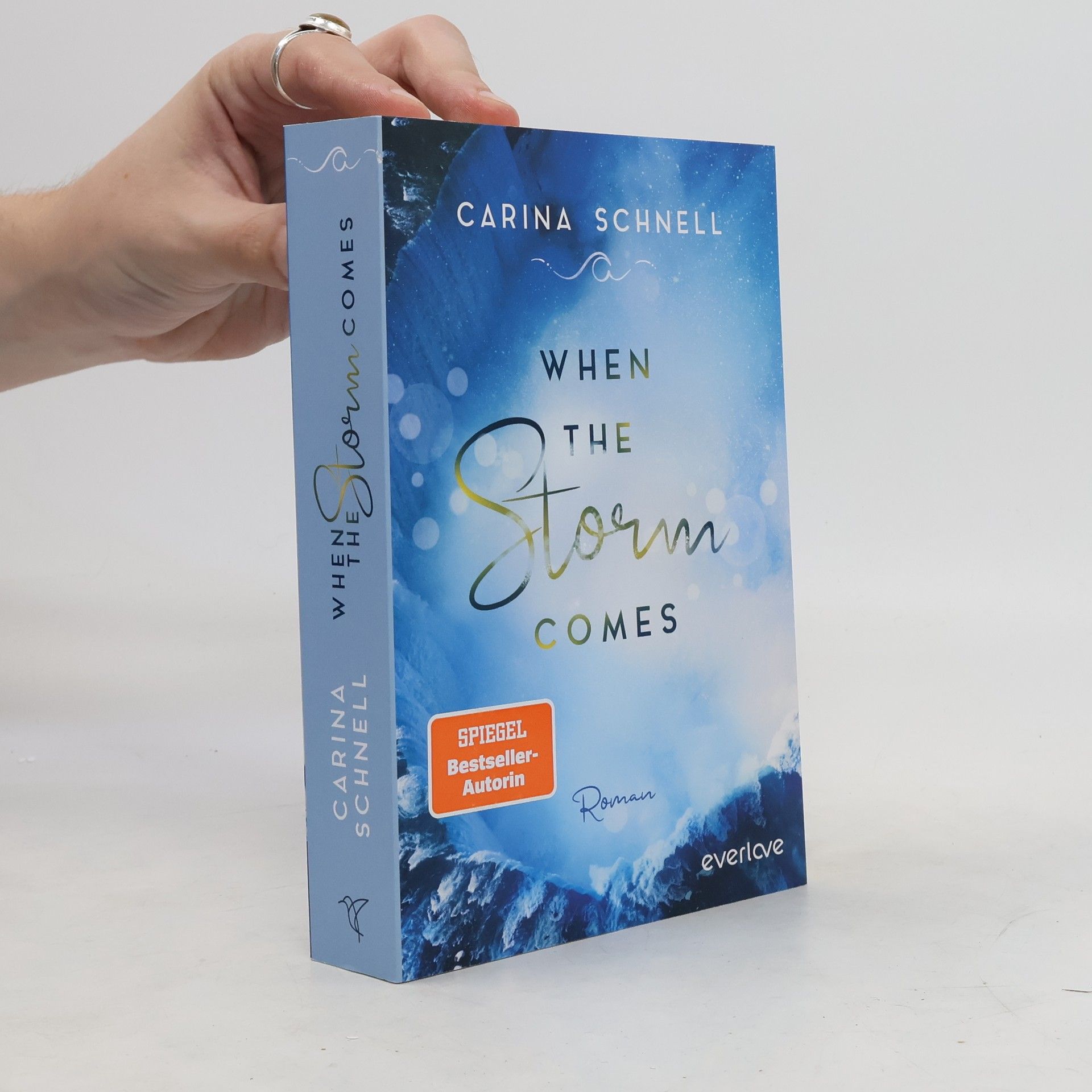 Carina Schnell When the storm comes