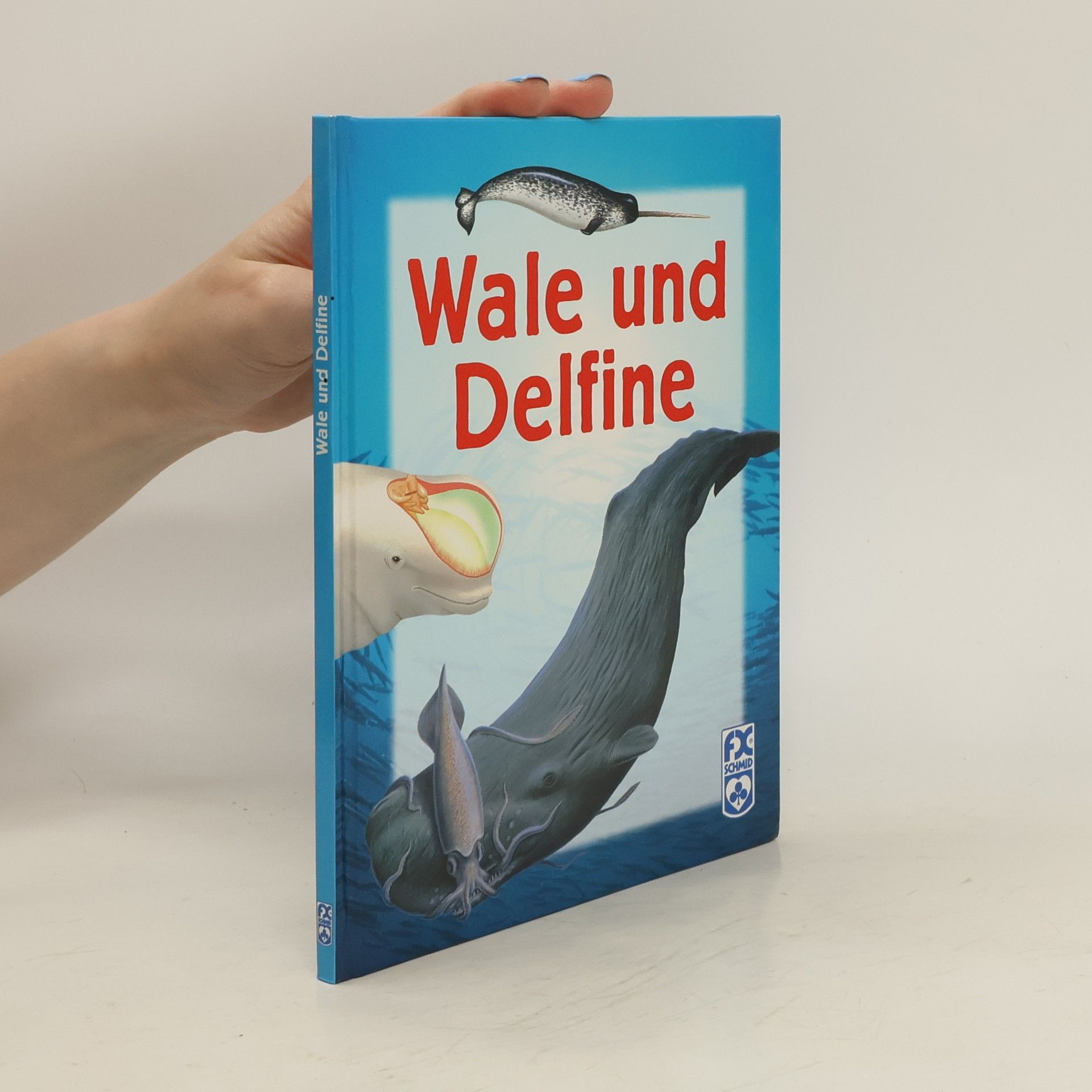 Collective Wale und Delfine