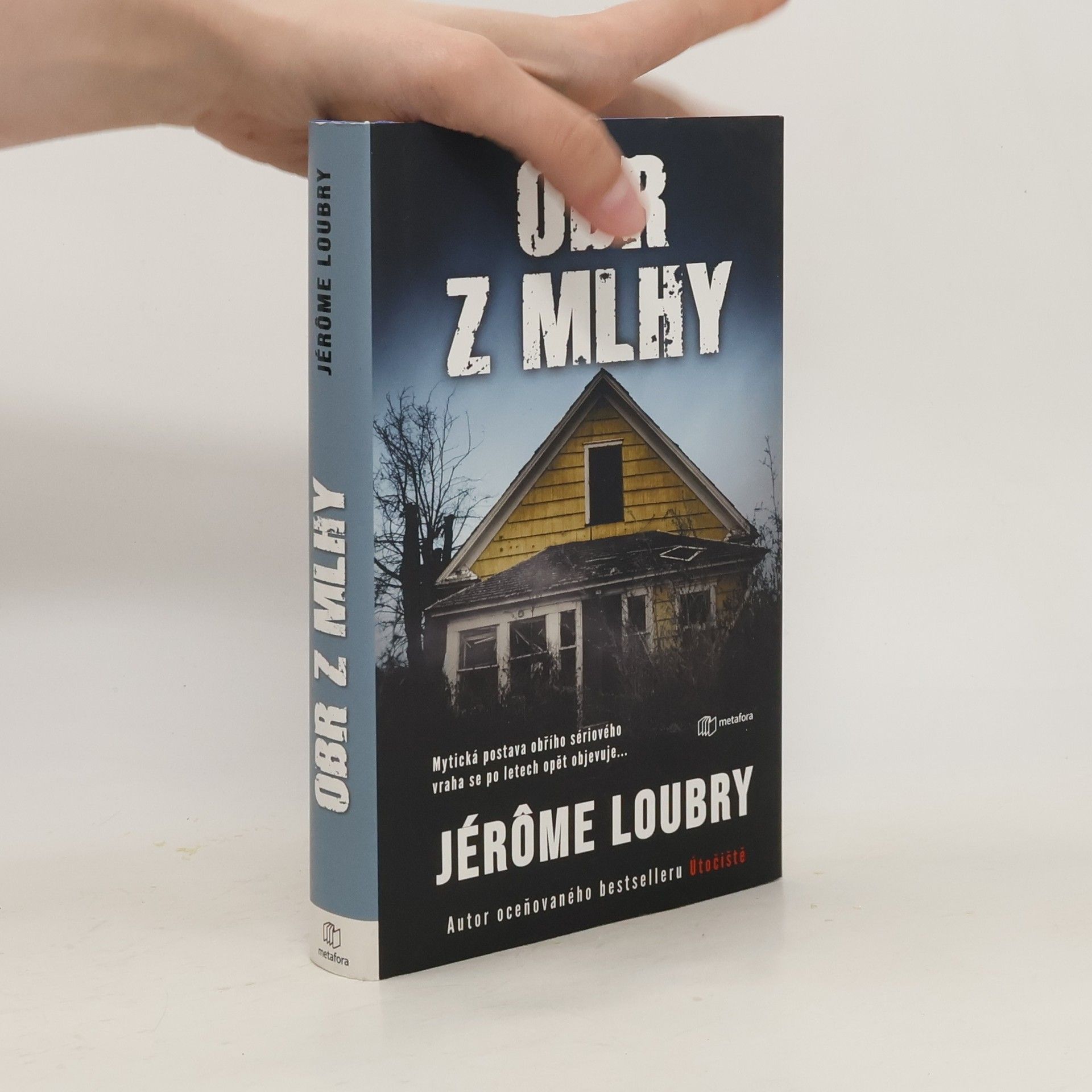 Jérôme Loubry Obr z mlhy