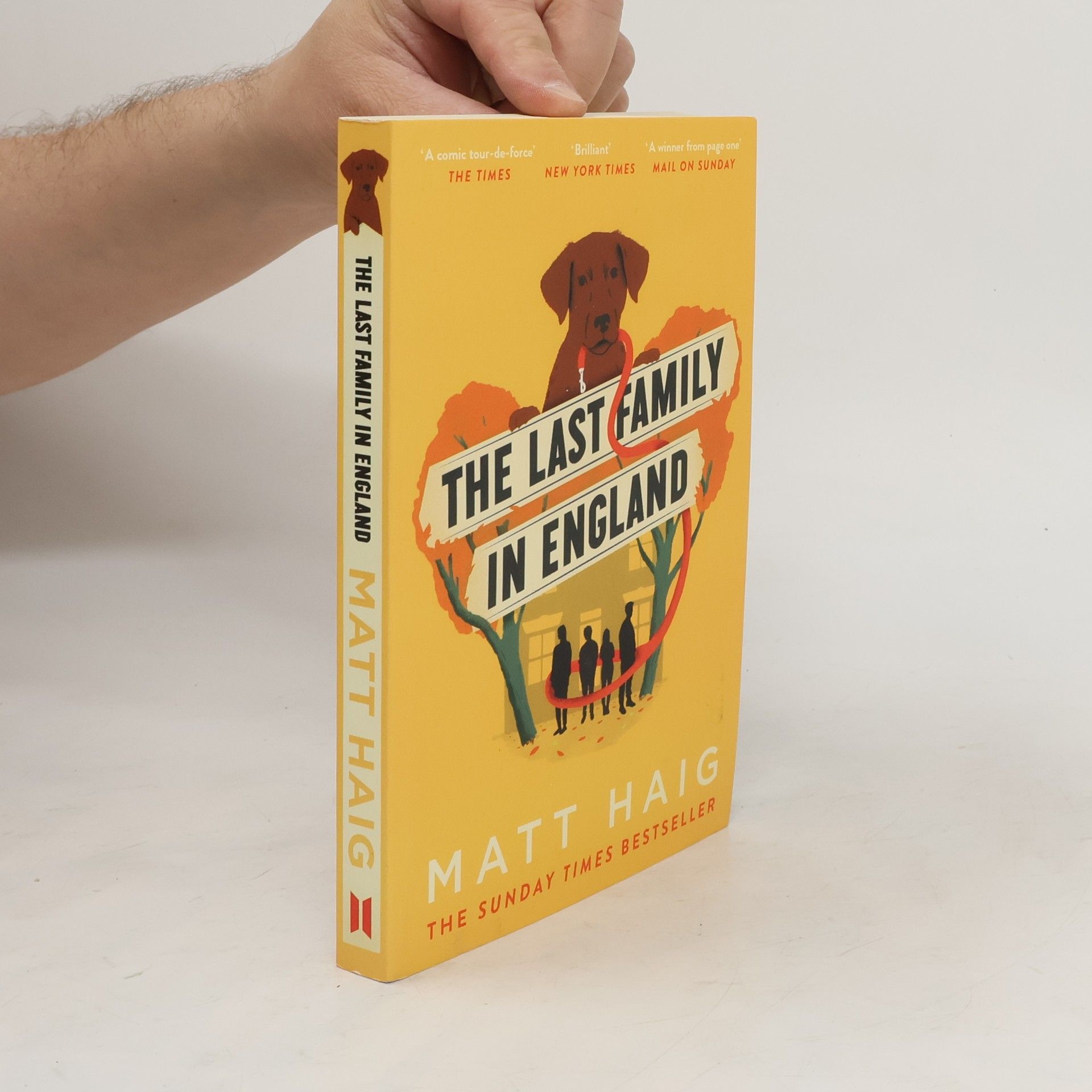 Matt Haig Last Family in England