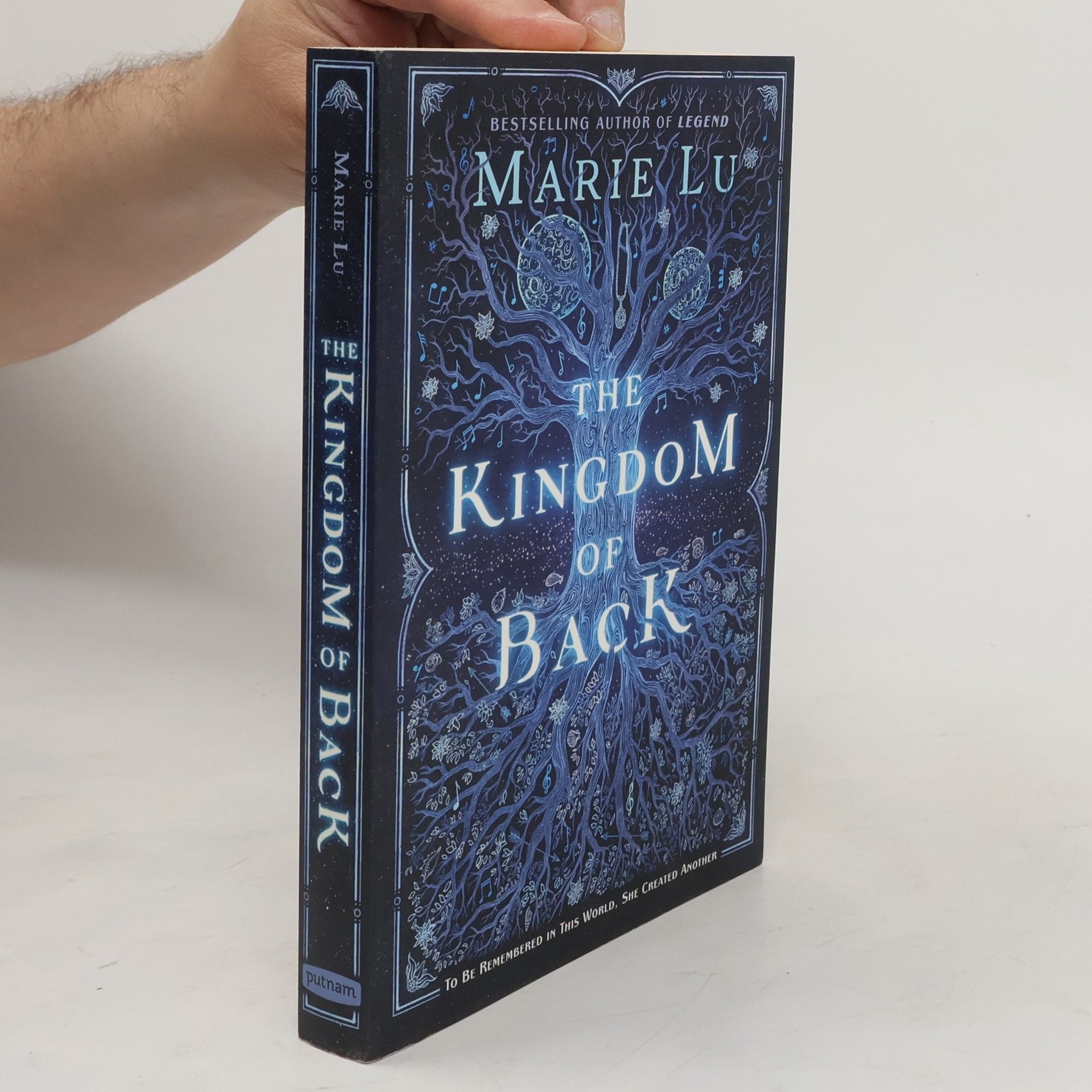 Marie Lu The Kingdom of Back