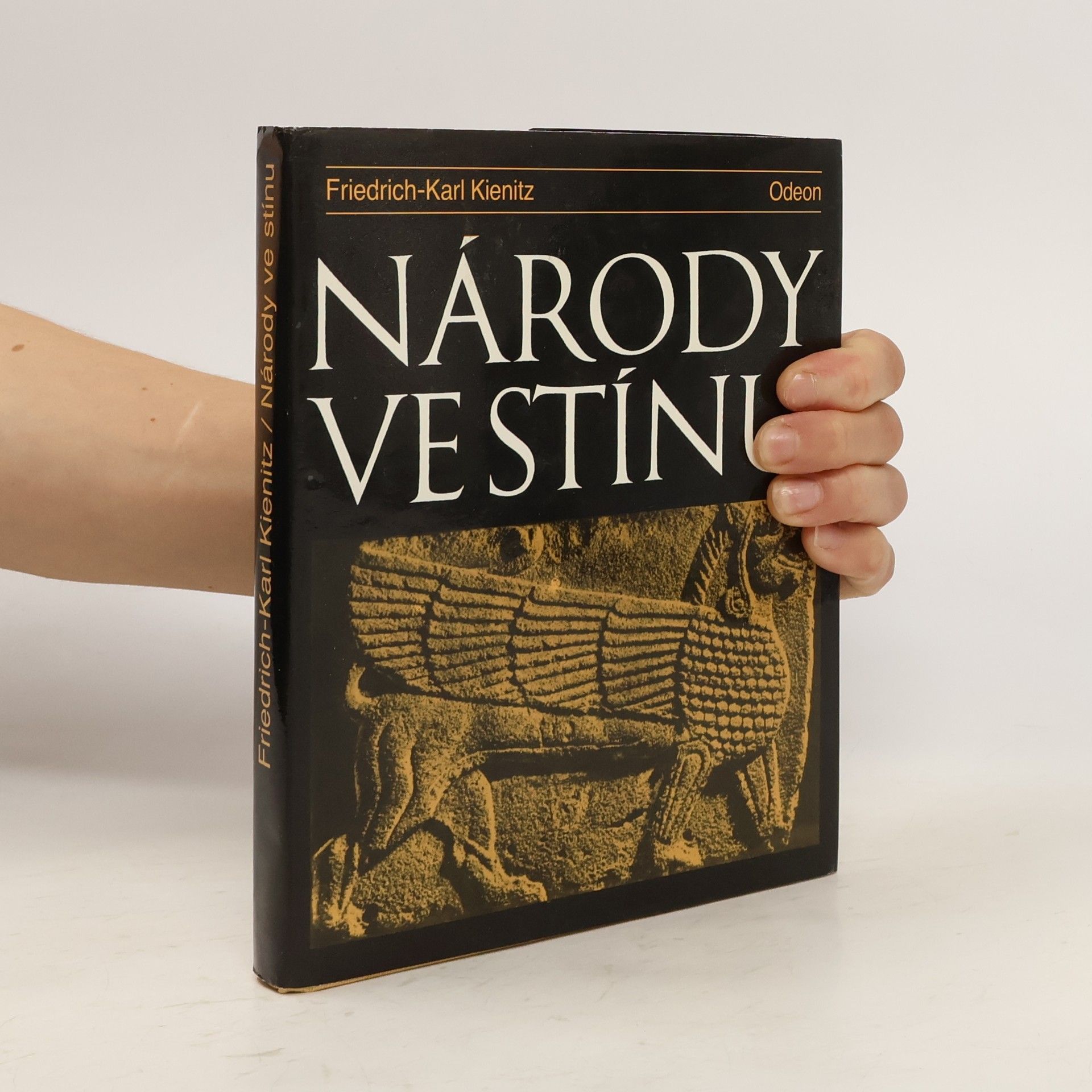 Friedrich Karl Kienitz Národy ve stínu