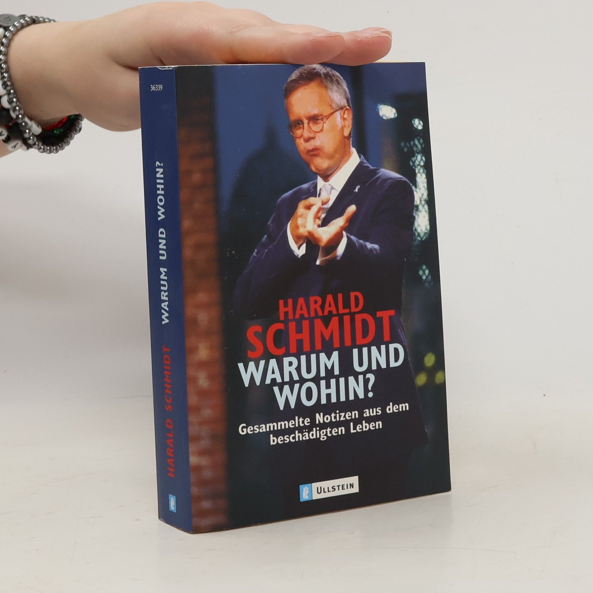 Harald Schmidt Warum und wohin?