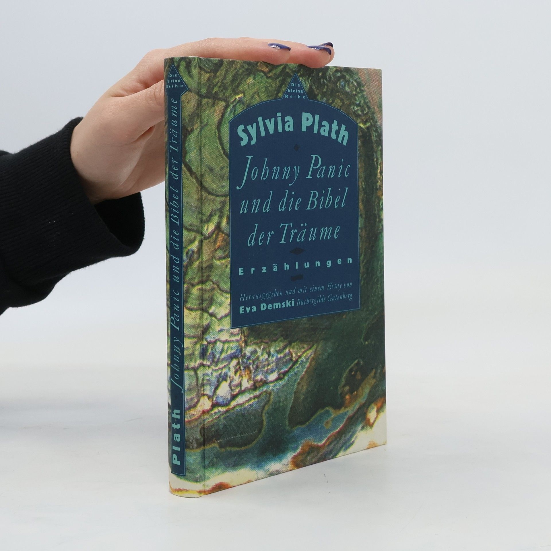 Sylvia Plath Johnny Panic und die Bibel der Träume