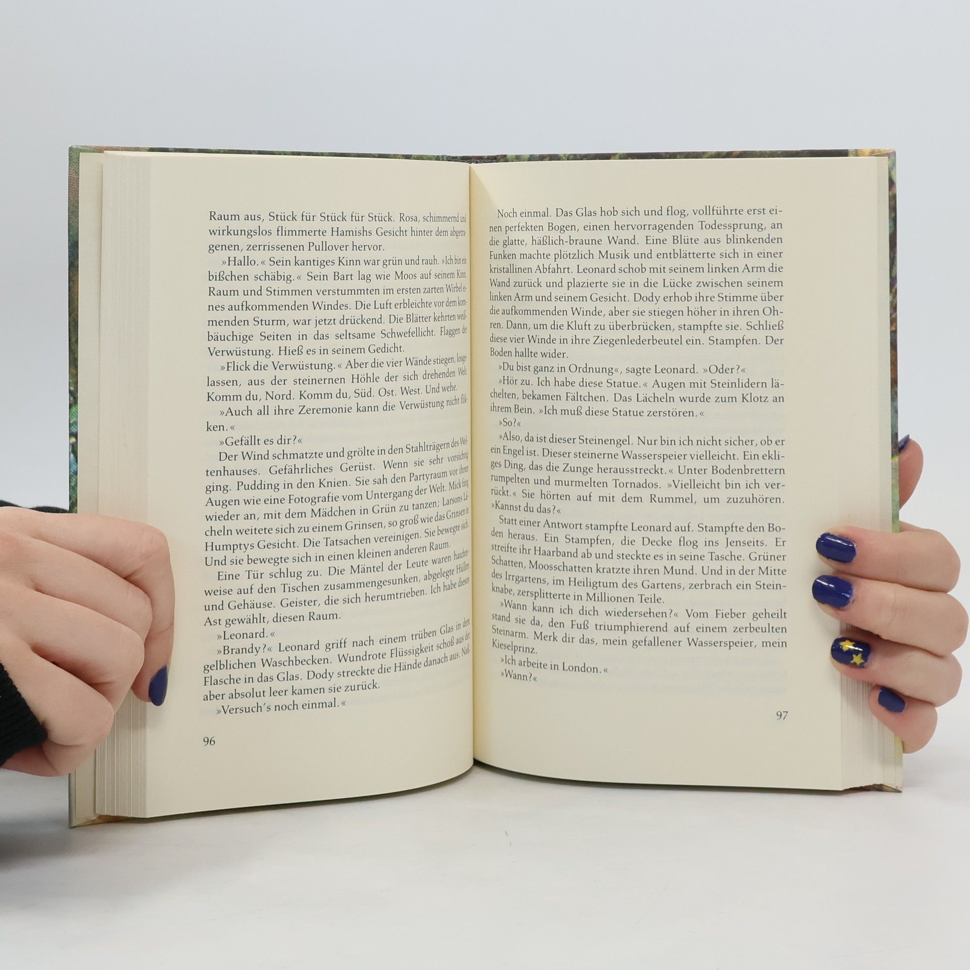 Sylvia Plath Johnny Panic und die Bibel der Träume