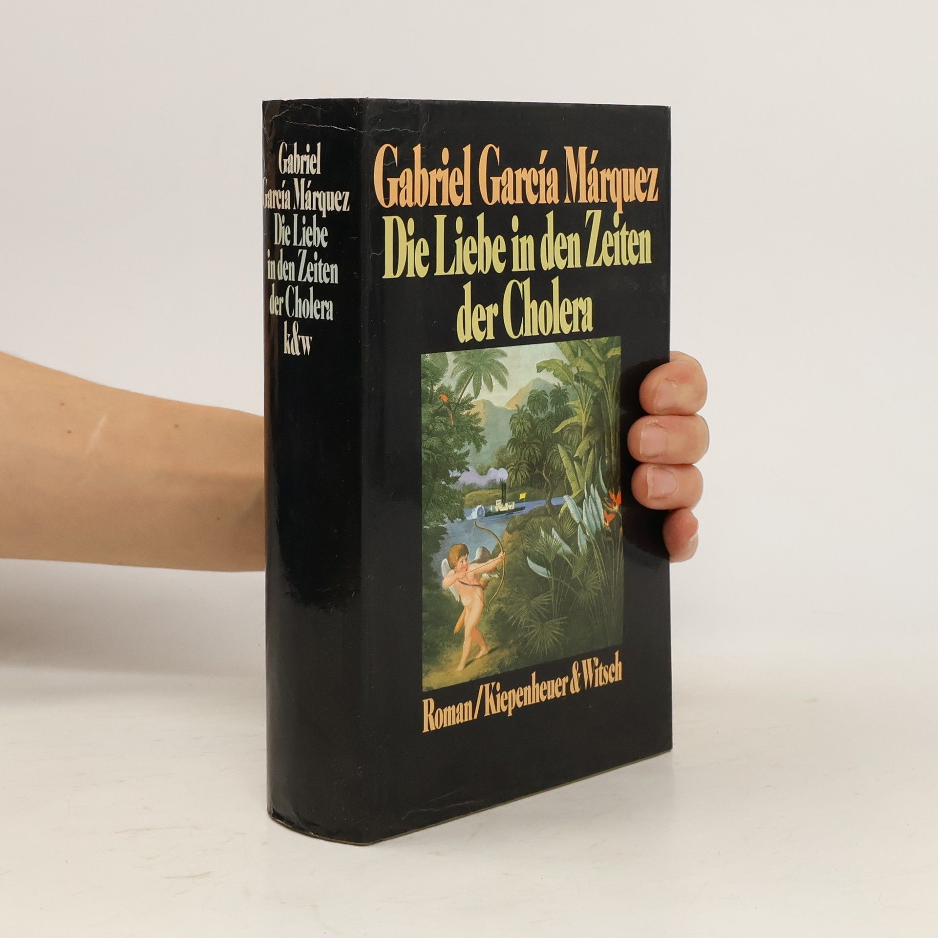 Gabriel García Márquez Die Liebe in den Zeiten der Cholera