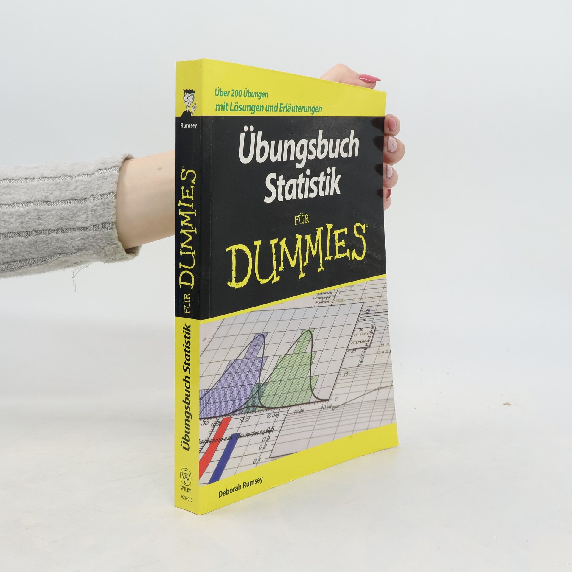 Deborah Rumsey Übungsbuch Statistik für Dummies