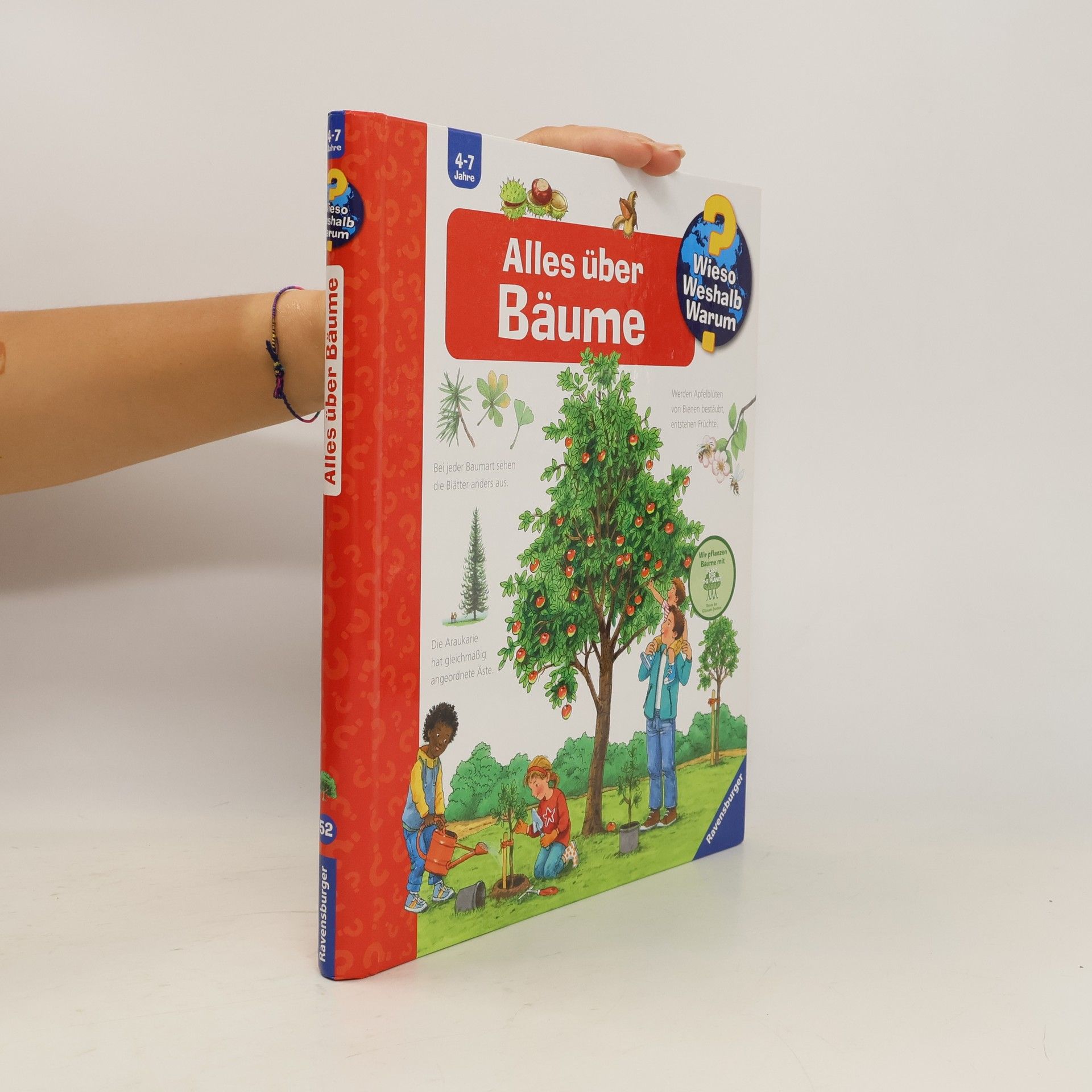 Susanne Gernhäuser Alles über Bäume