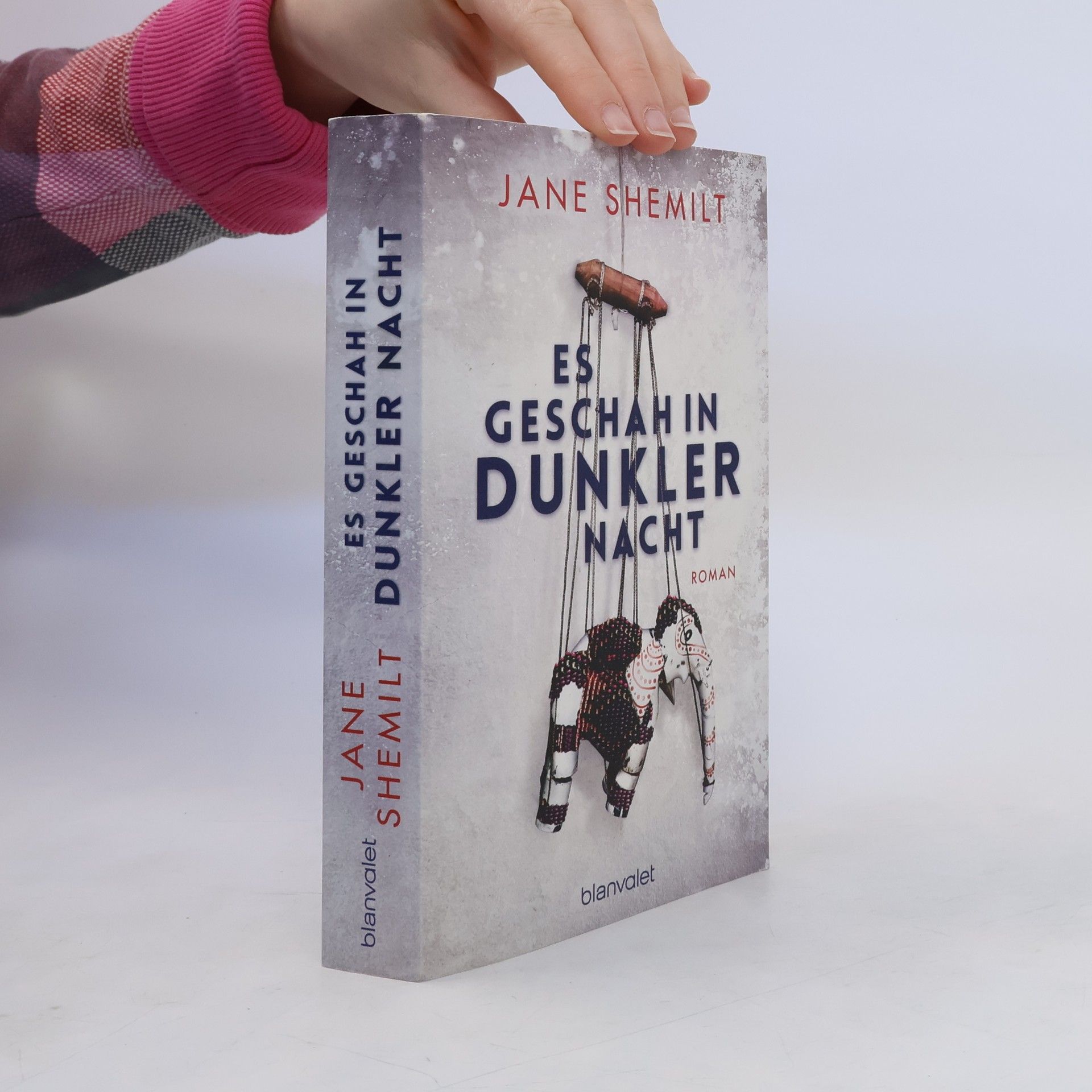 Jane Shemilt Es geschah in dunkler Nacht