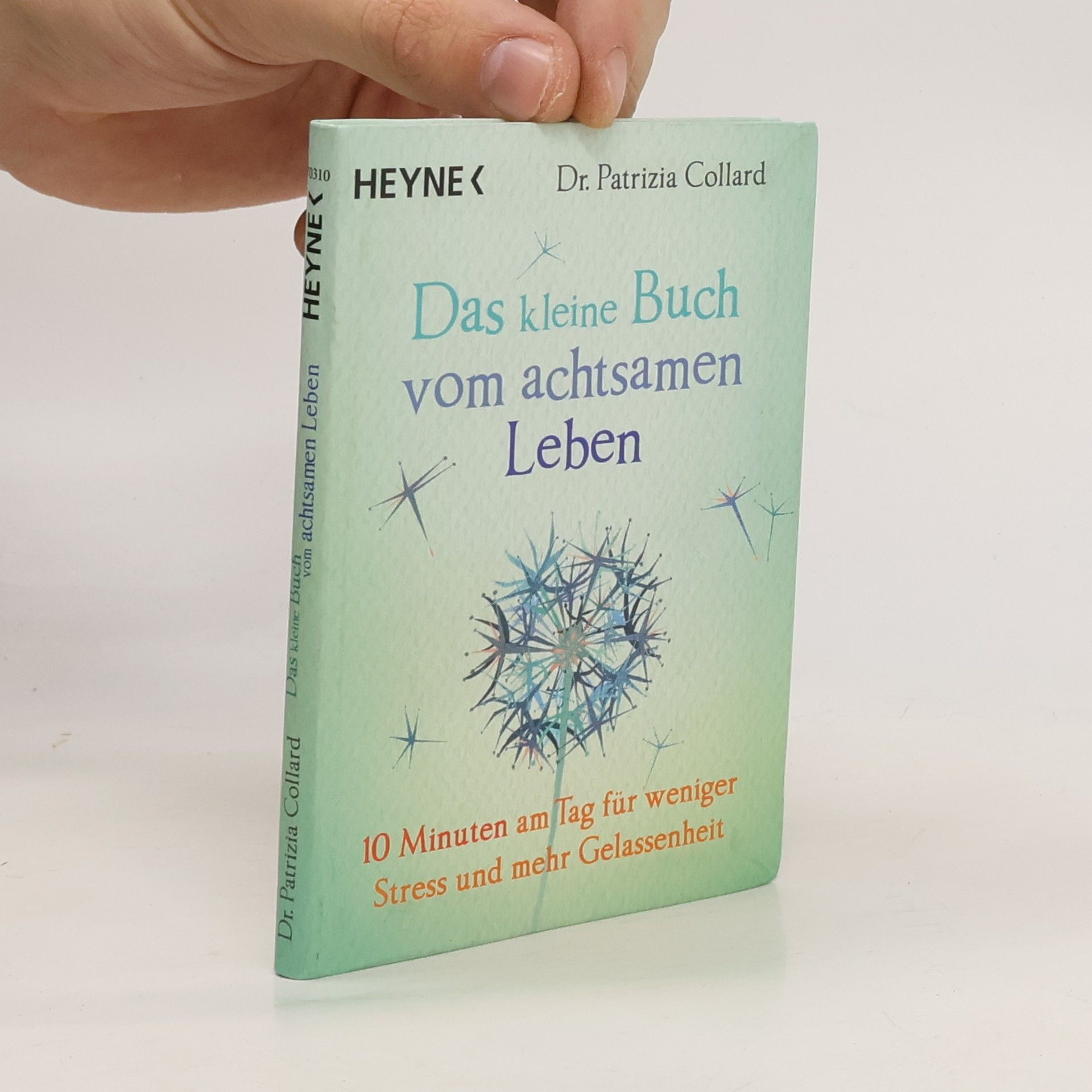 Patrizia Collard Das kleine Buch vom achtsamen Leben