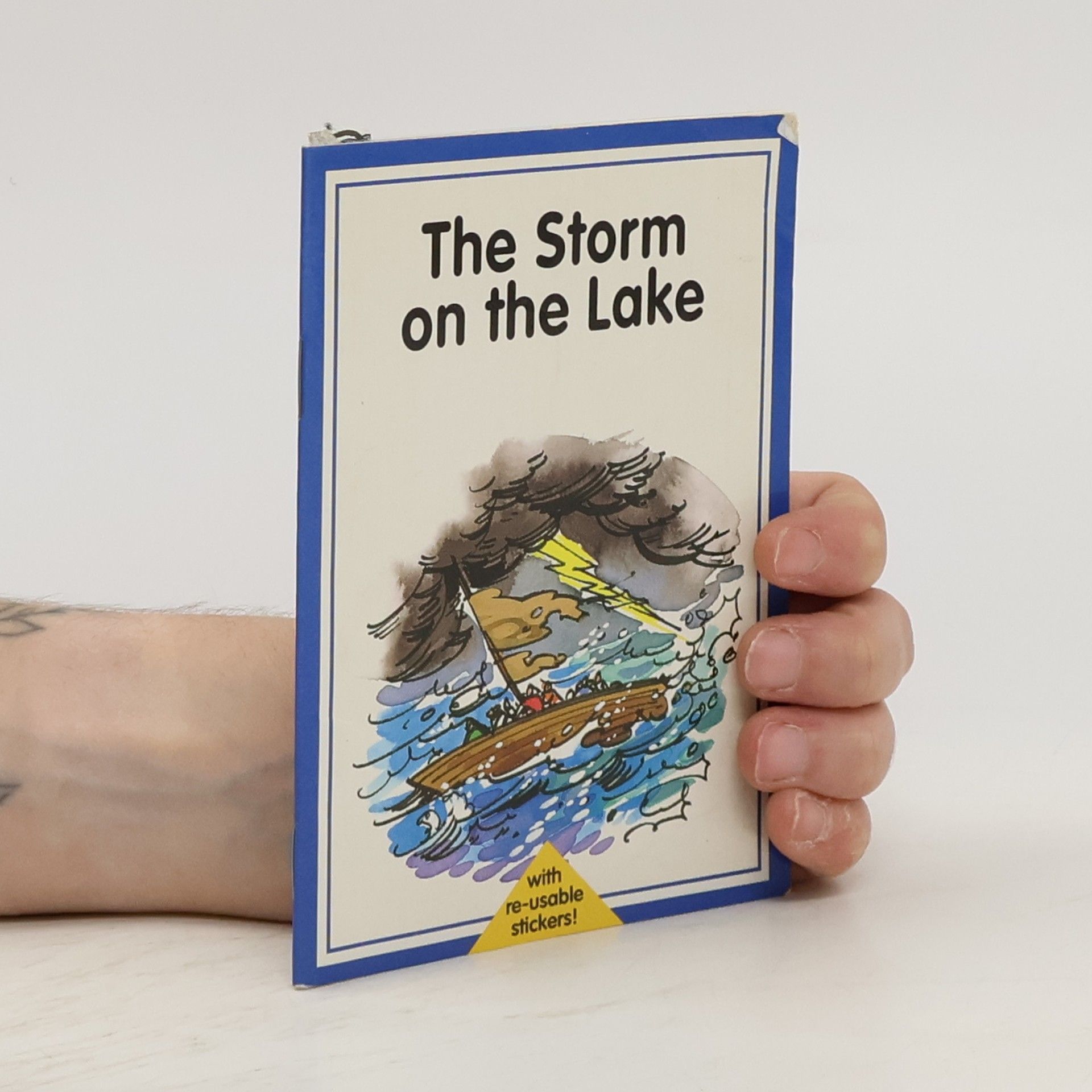 Taffy Davies The Storm on the Lake
