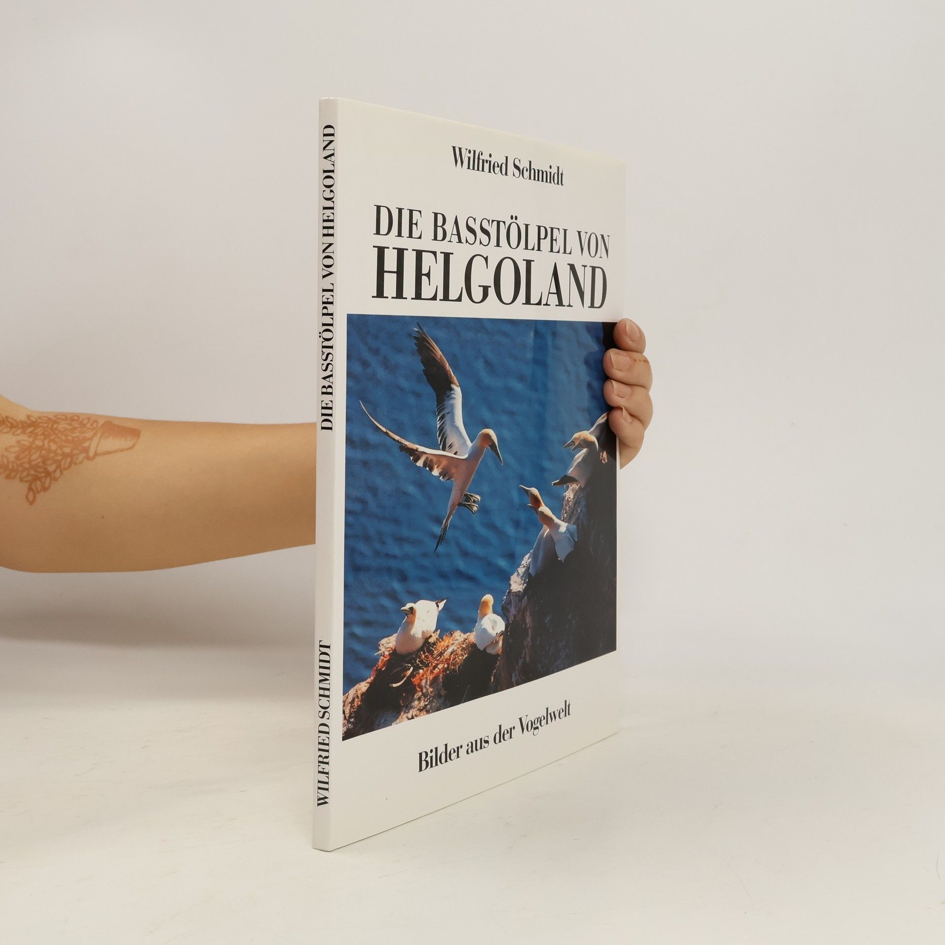 Wilfried Schmidt Die Basstölpel von Helgoland