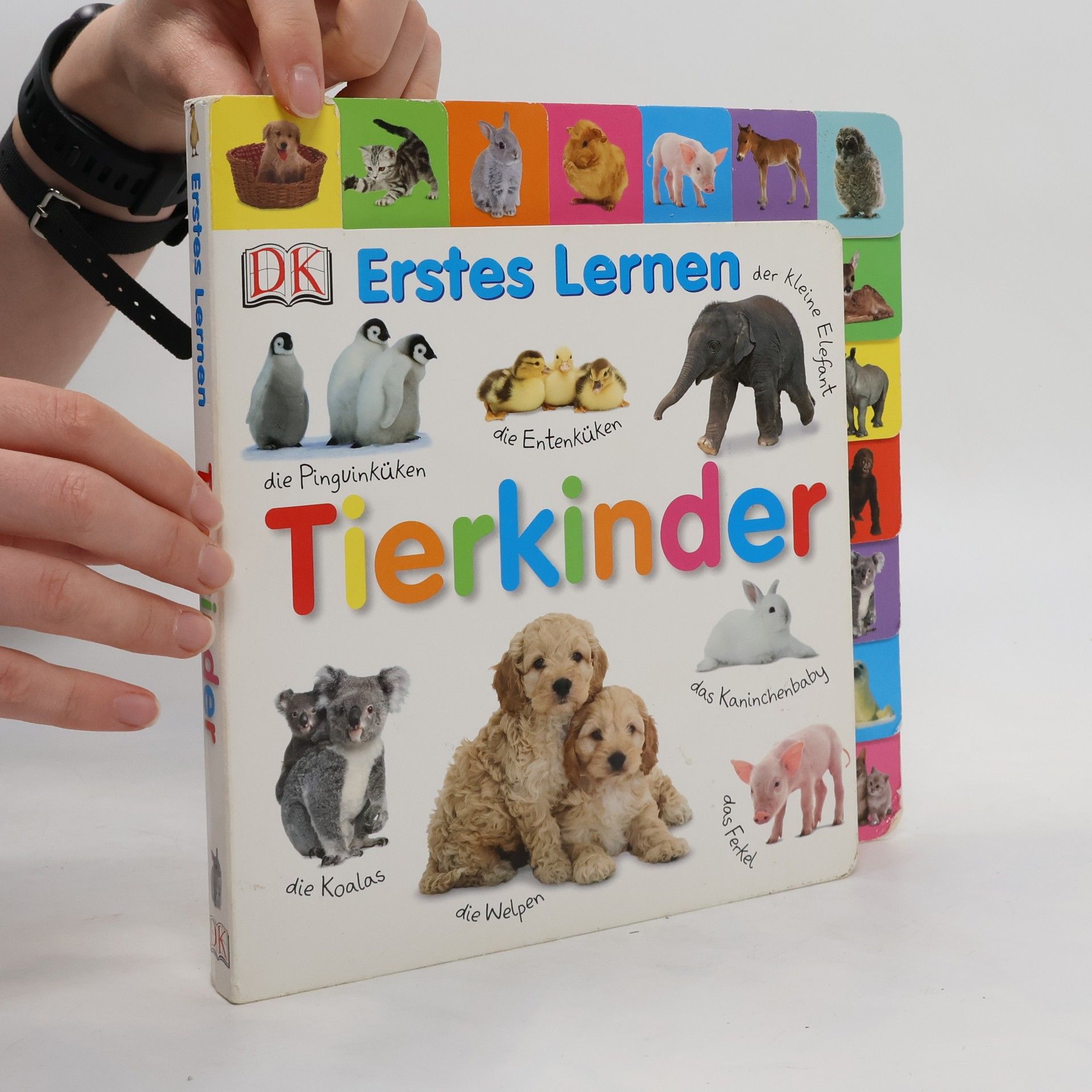 Autorenkollektiv Tierkinder