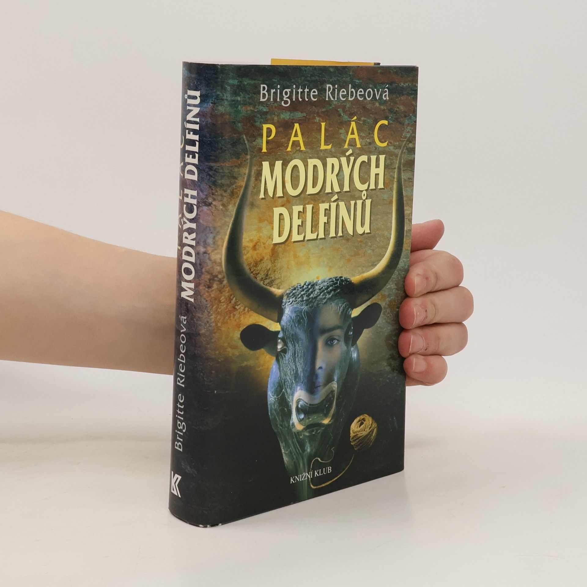 Brigitte Riebe Palác modrých delfínů