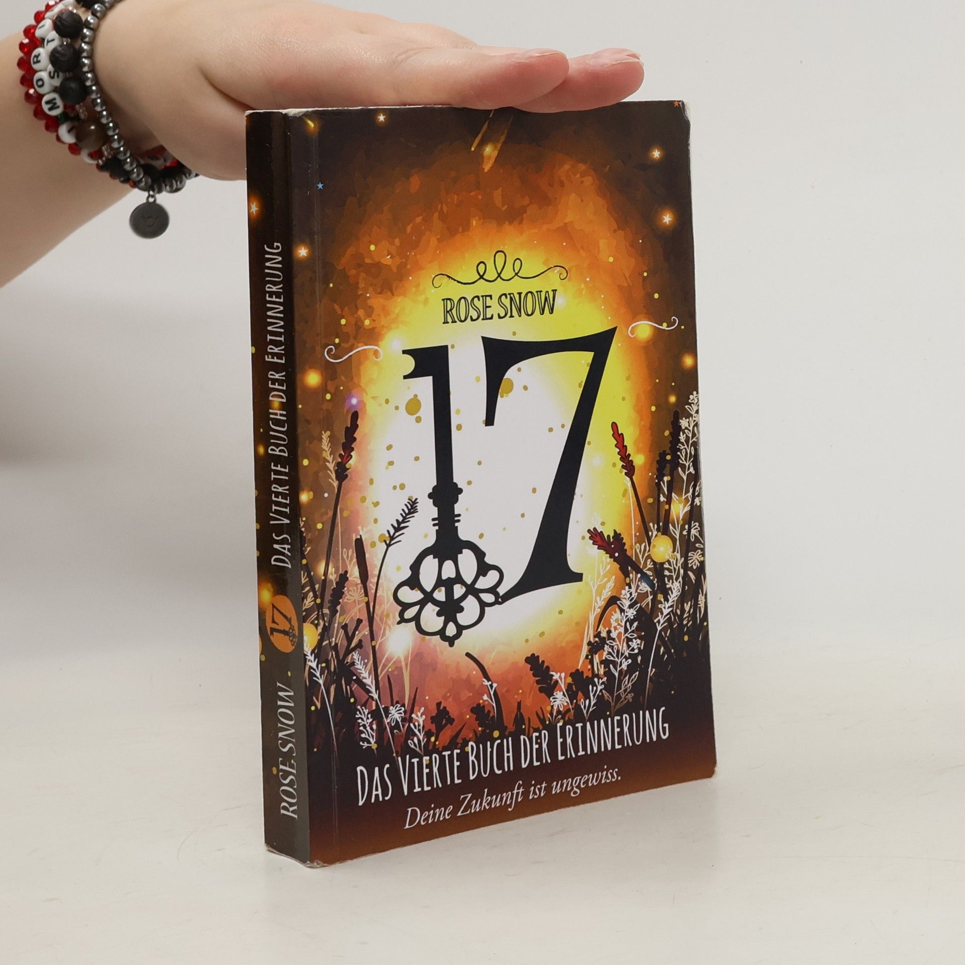 Rosie Snow 17 - Das Vierte Buch Der Erinnerung