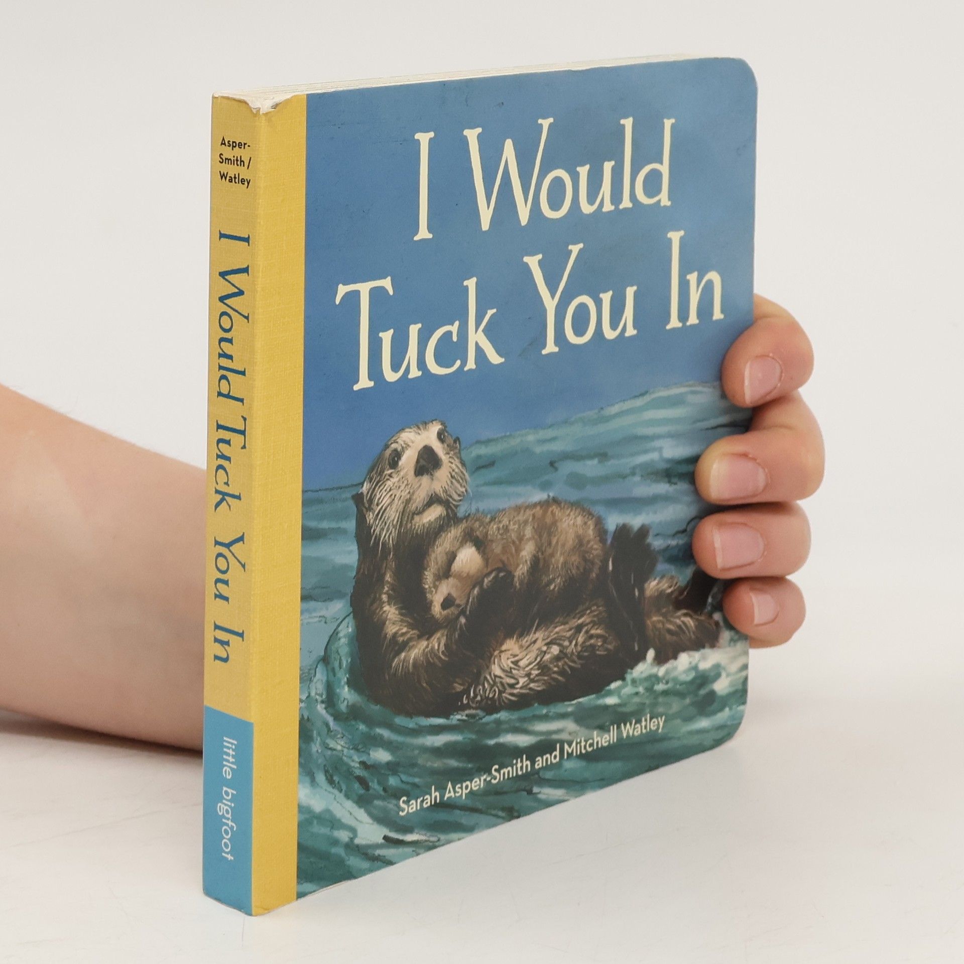 Sarah Asper-Smith I Would Tuck You In