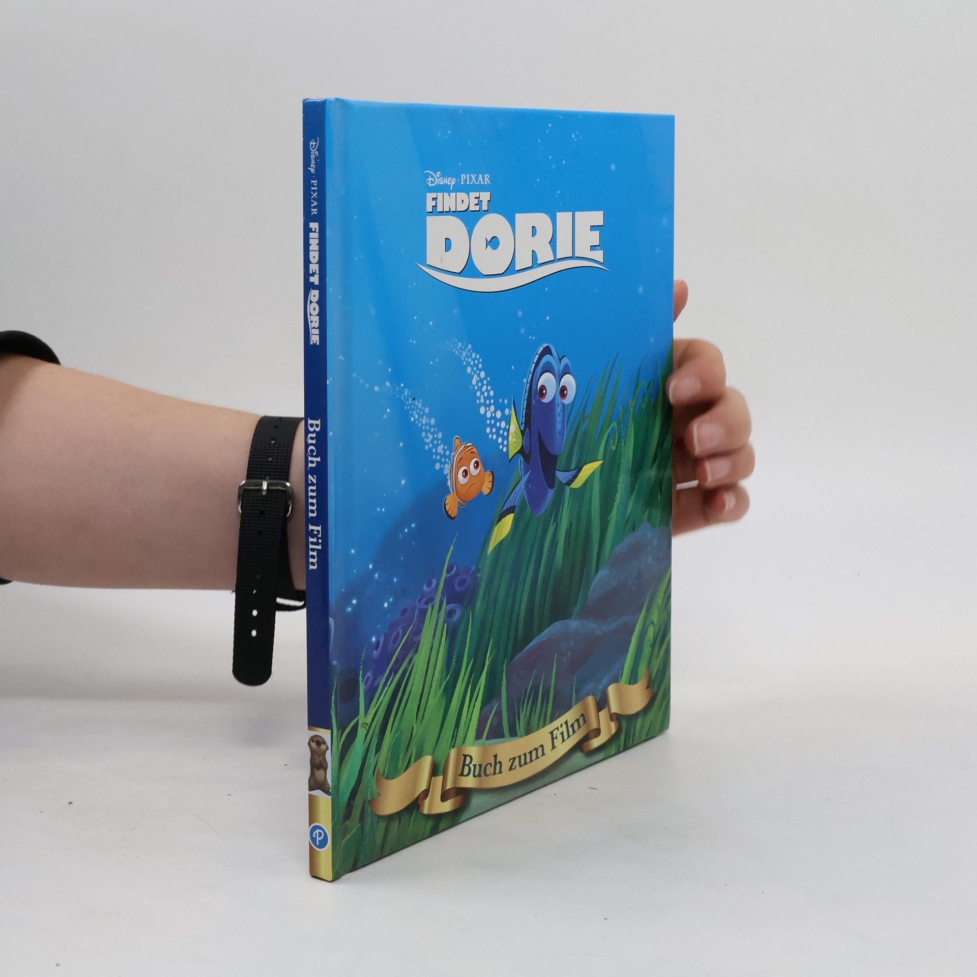 kolektiv Findet Dorie