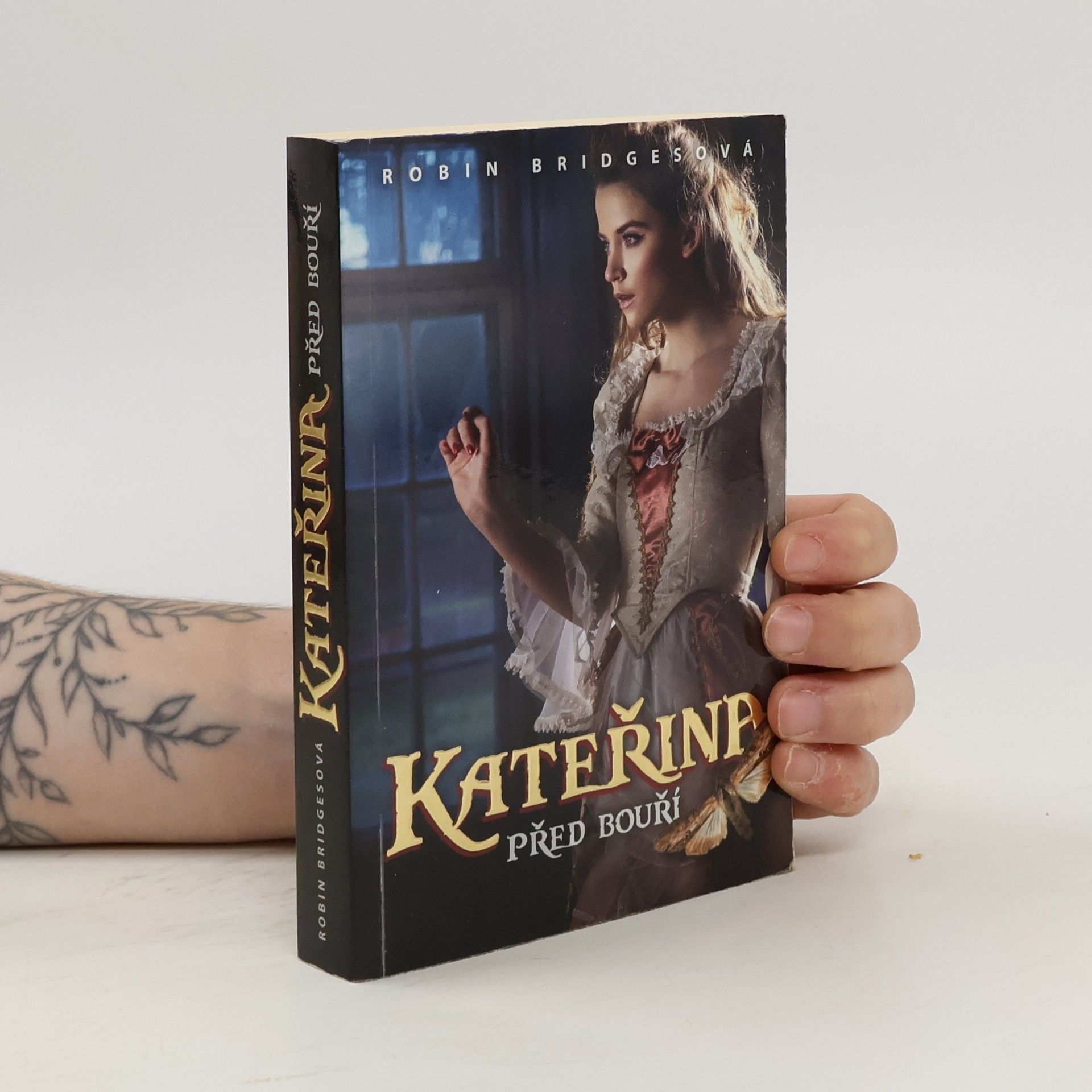 Robin Bridges Kateřina: Před bouří (kniha první)