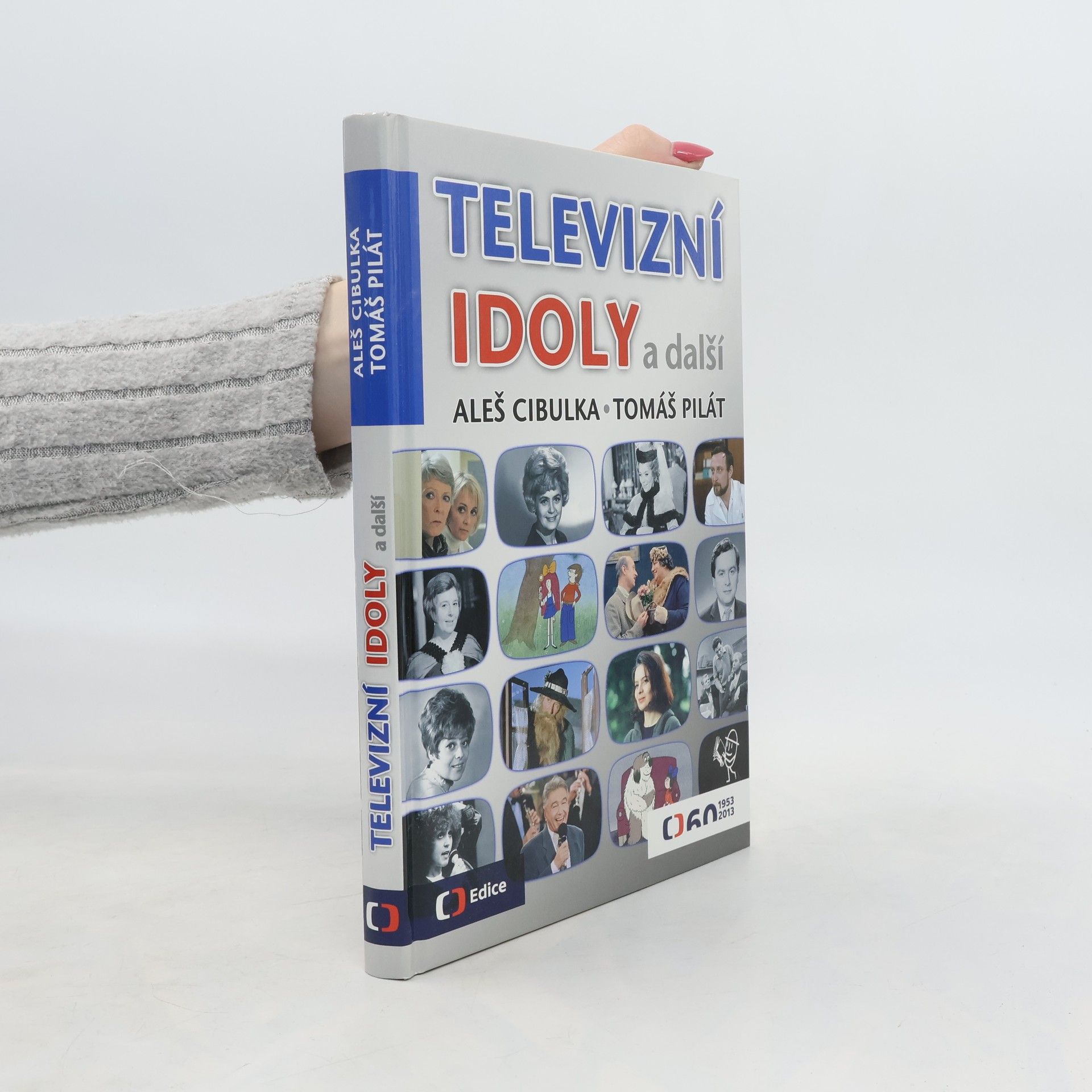 Aleš Cibulka Televizní idoly a další