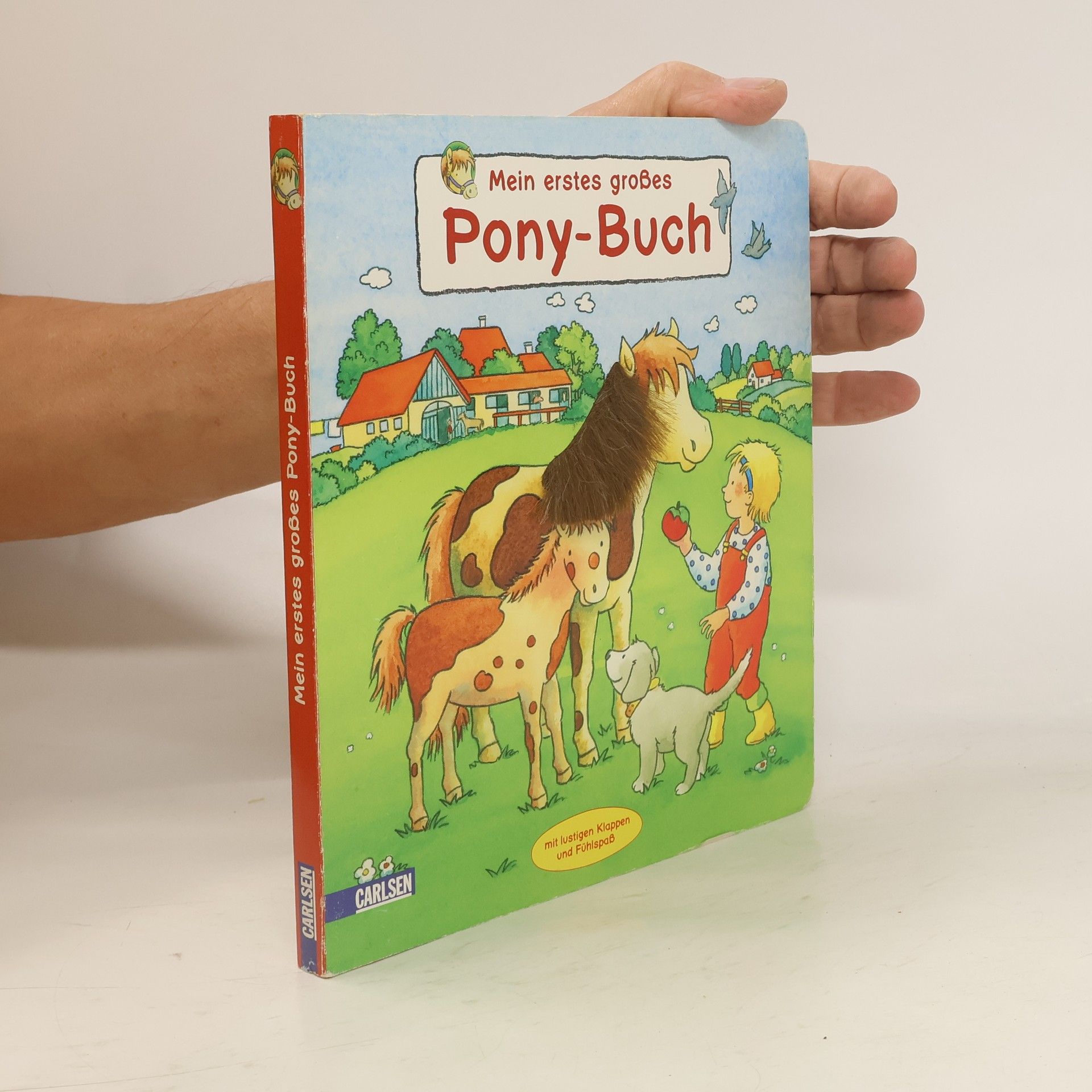 Hanna Sörensen Mein erstes großes Pony-Buch