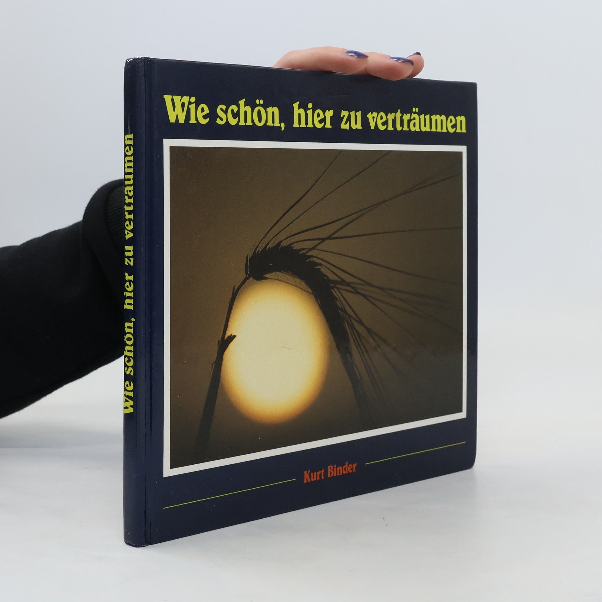 Kurt Binder Wie schön, hier zu verträumen