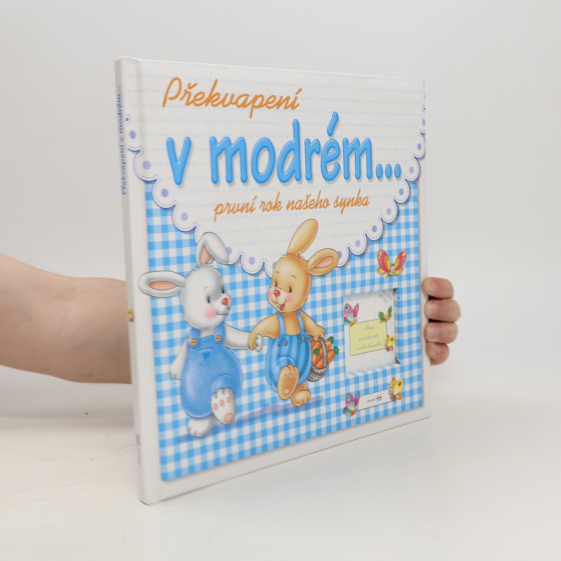 Autorenkollektiv Překvapení v modrém...