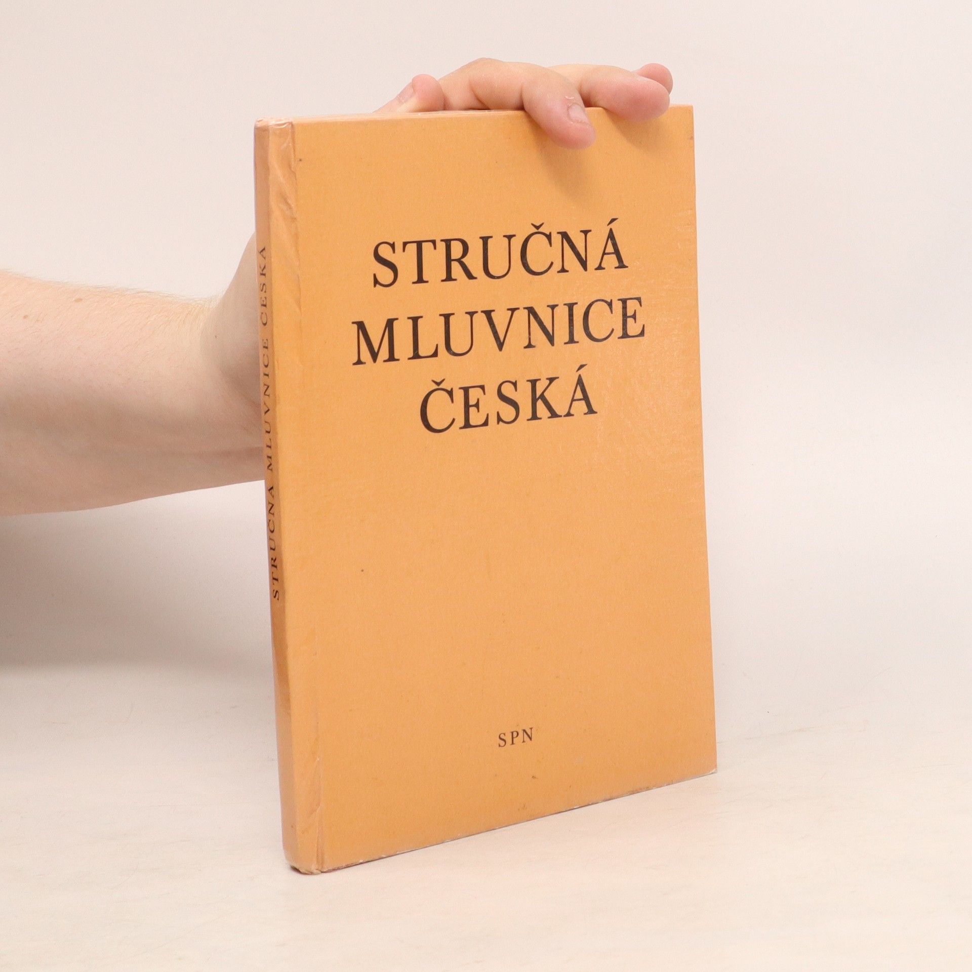 kolektiv Stručná mluvnice česká